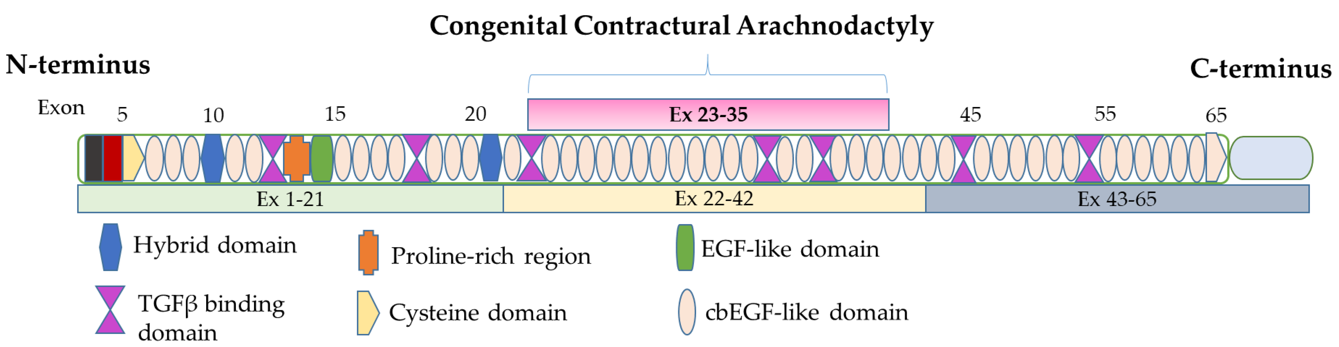洋書 GENETIC CLASSIFICATION OF GLACIGENIC 洋書 GENETIC CLASSIFICATION OF GLACIGENIC fgene-10-00427