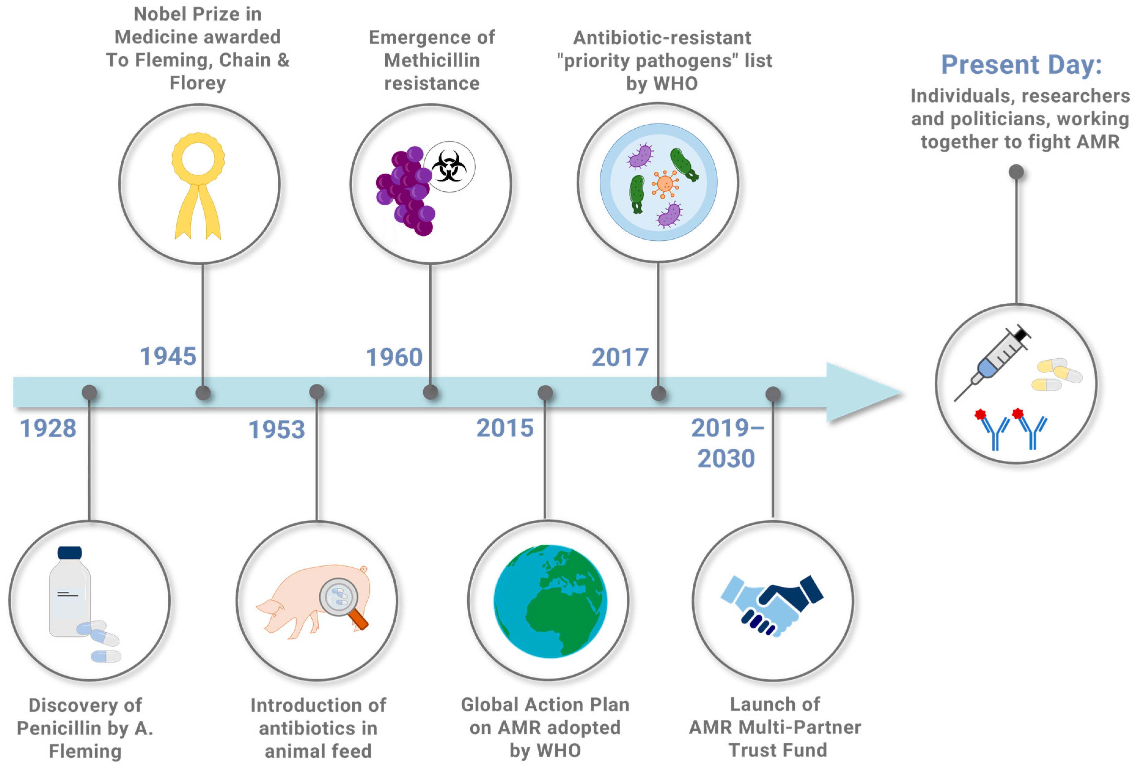 Ijms 25 05487 g001 Ijms 25 05487 g001