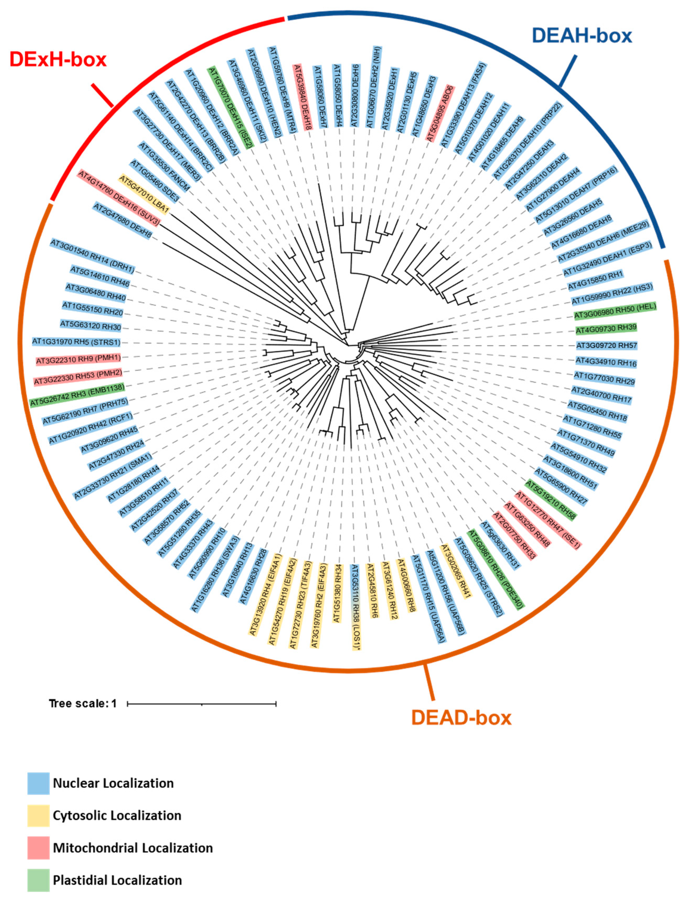 Ijms 25 05502 g003 Ijms 25 05502 g003