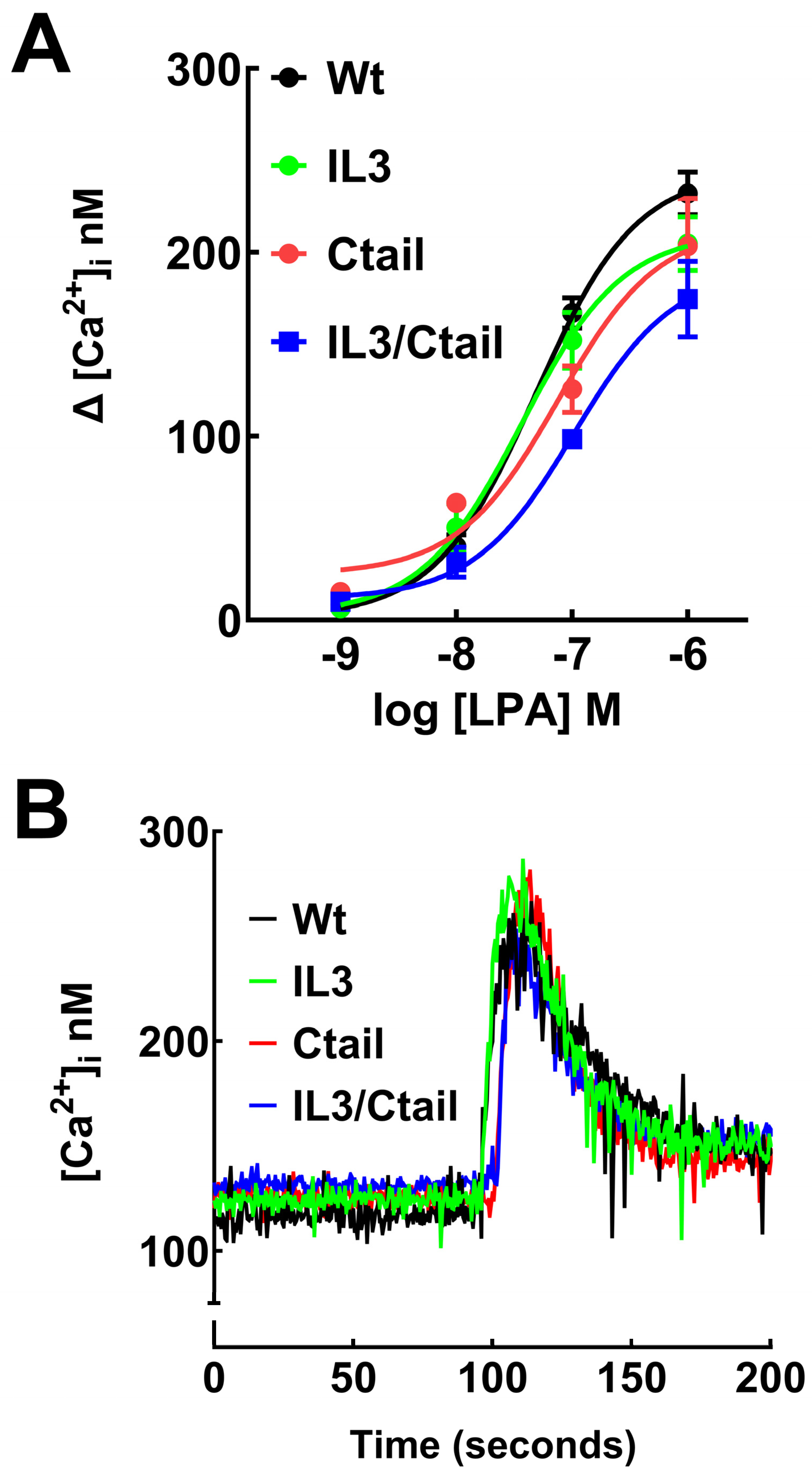 IJMS | Free Full-Text | LPA3 Receptor Phosphorylation Sites: Roles in ...
