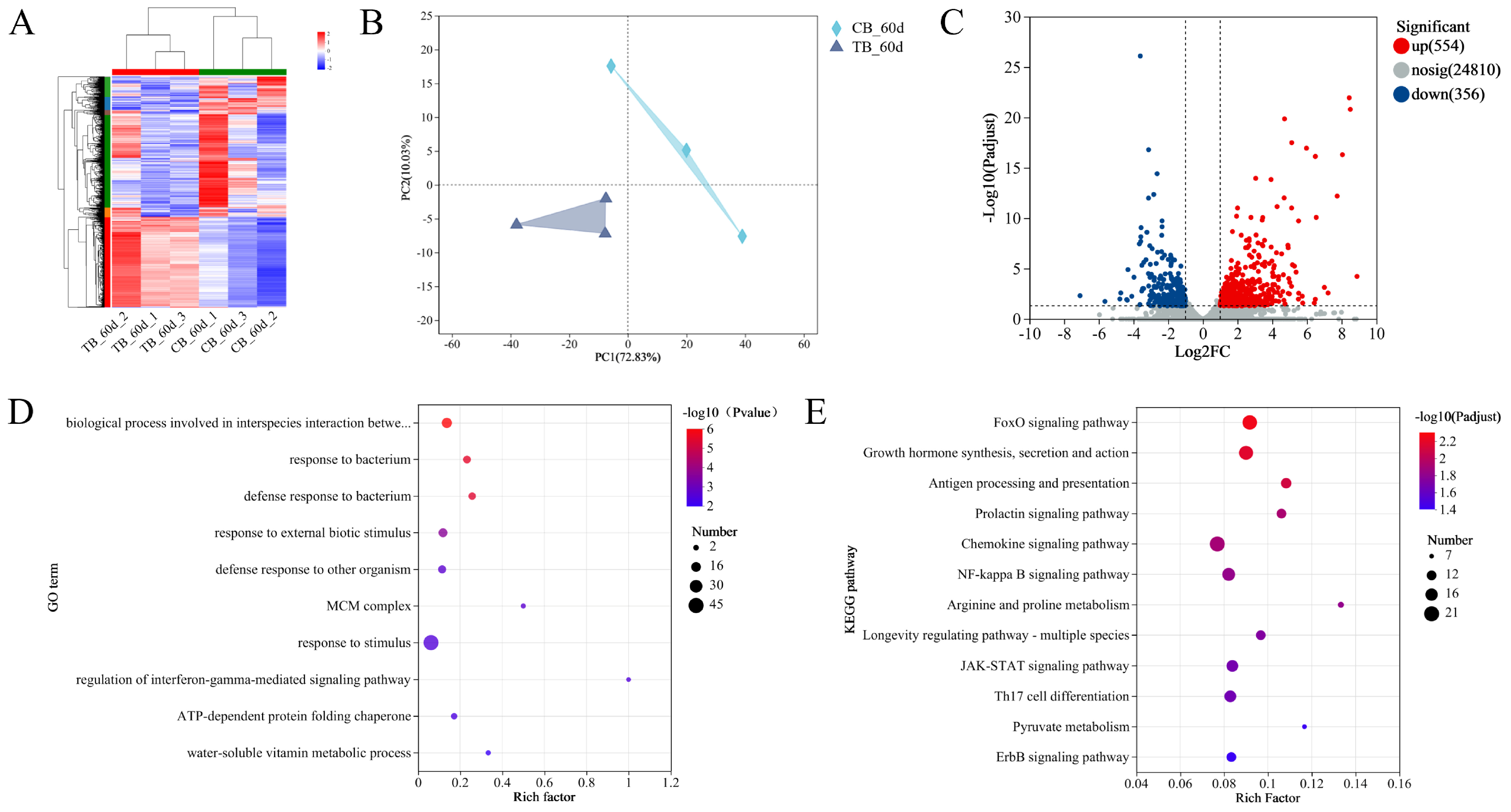 Ijms 25 05525 g003 Ijms 25 05525 g003