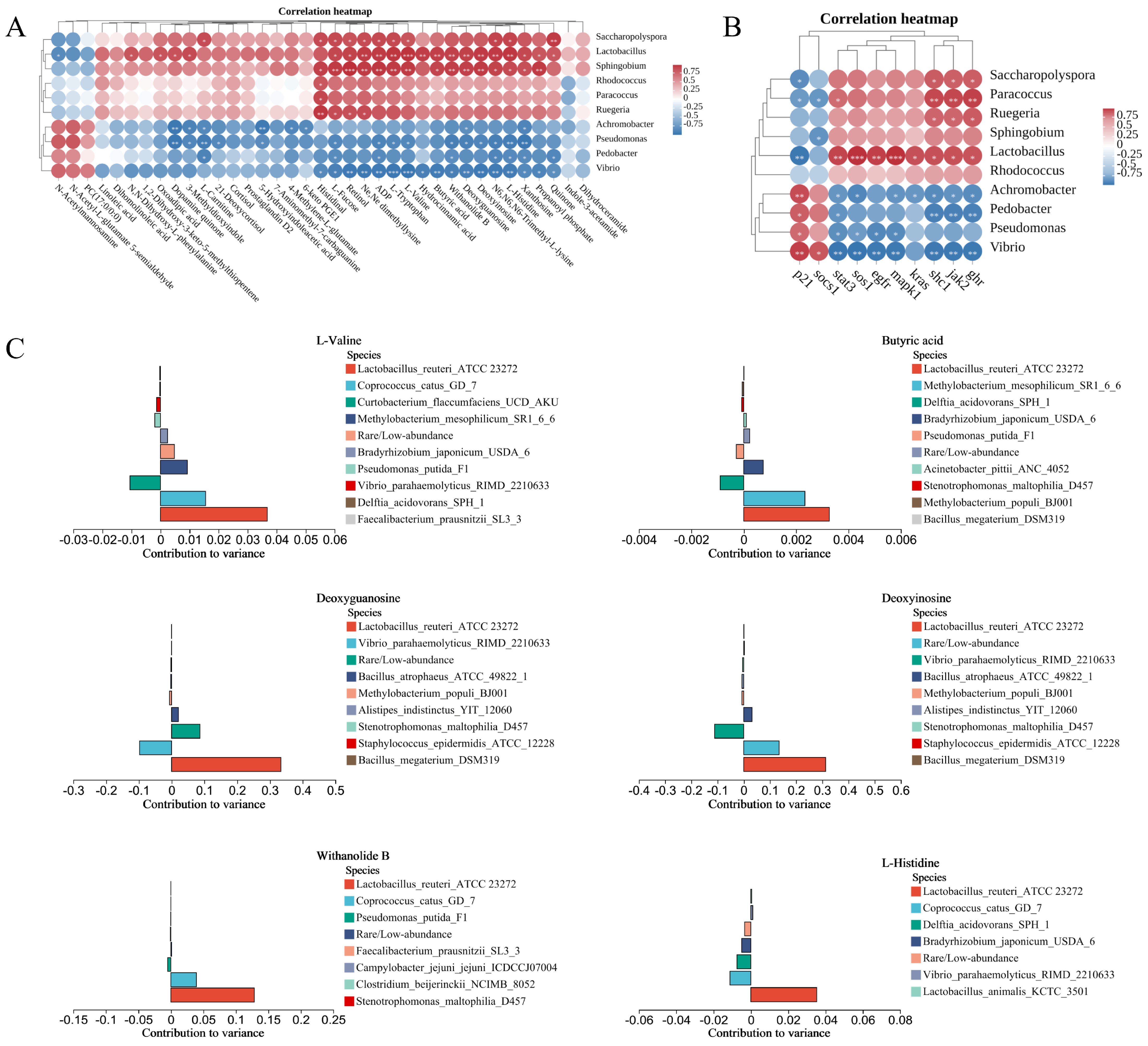 Ijms 25 05525 g006 Ijms 25 05525 g006