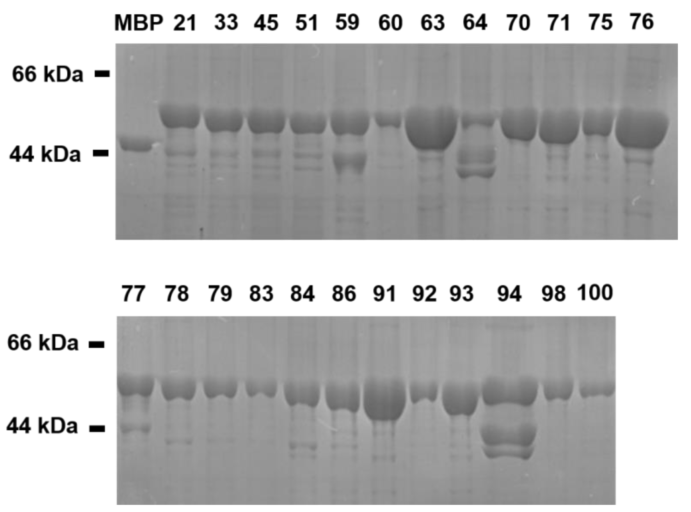Ijms 25 05535 g003 Ijms 25 05535 g003