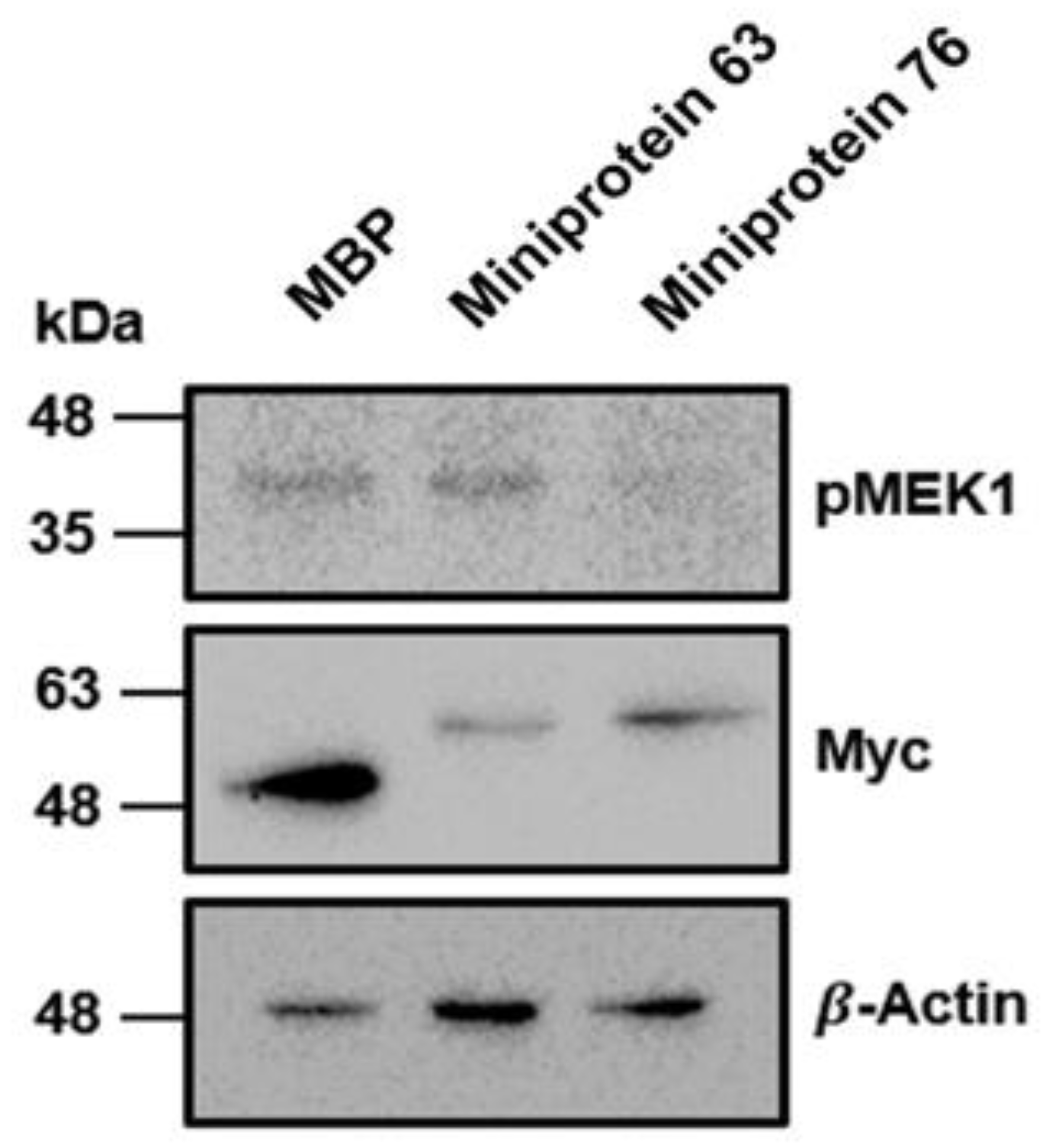 Ijms 25 05535 g007 Ijms 25 05535 g007