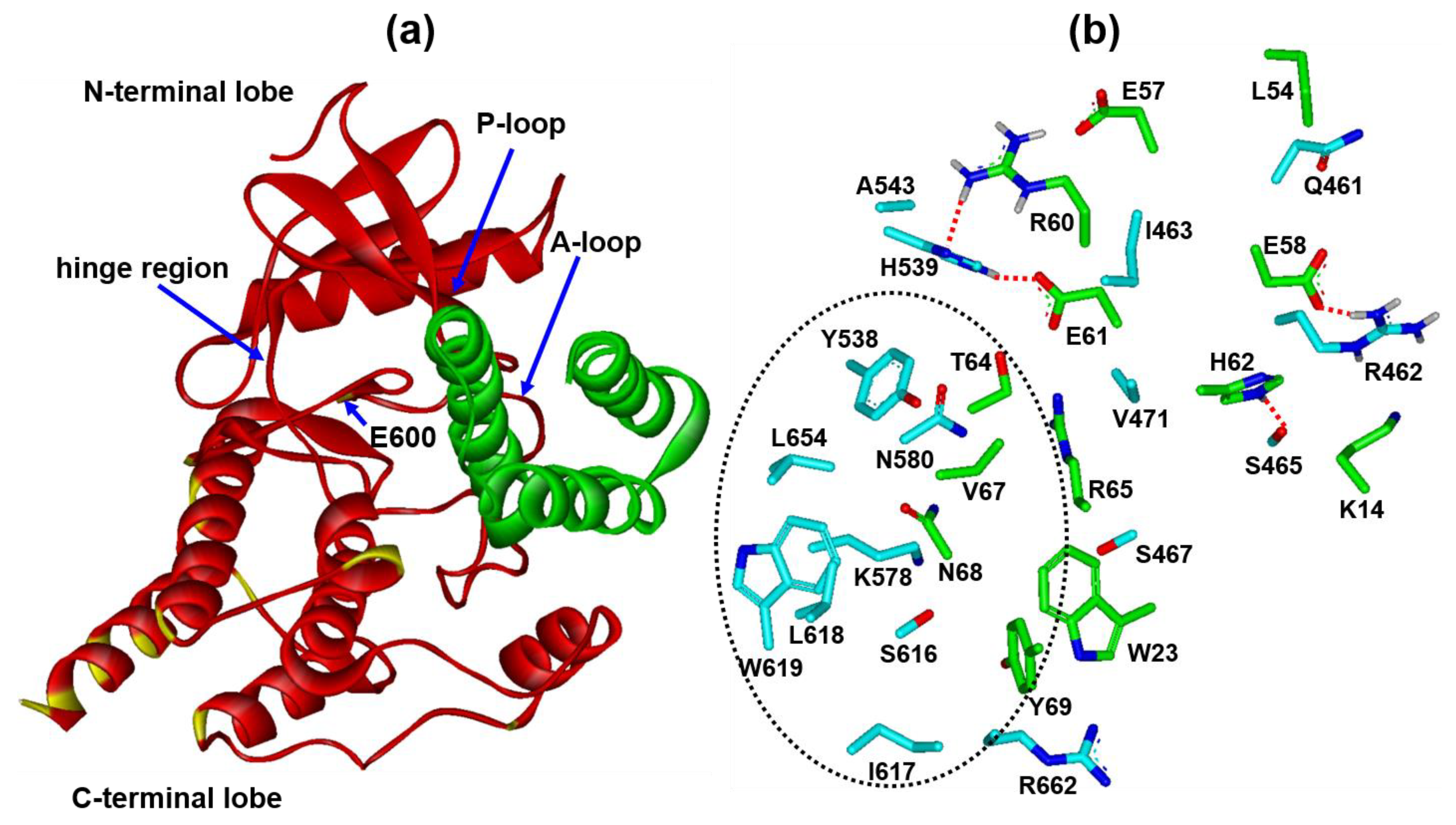 Ijms 25 05535 g008 Ijms 25 05535 g008