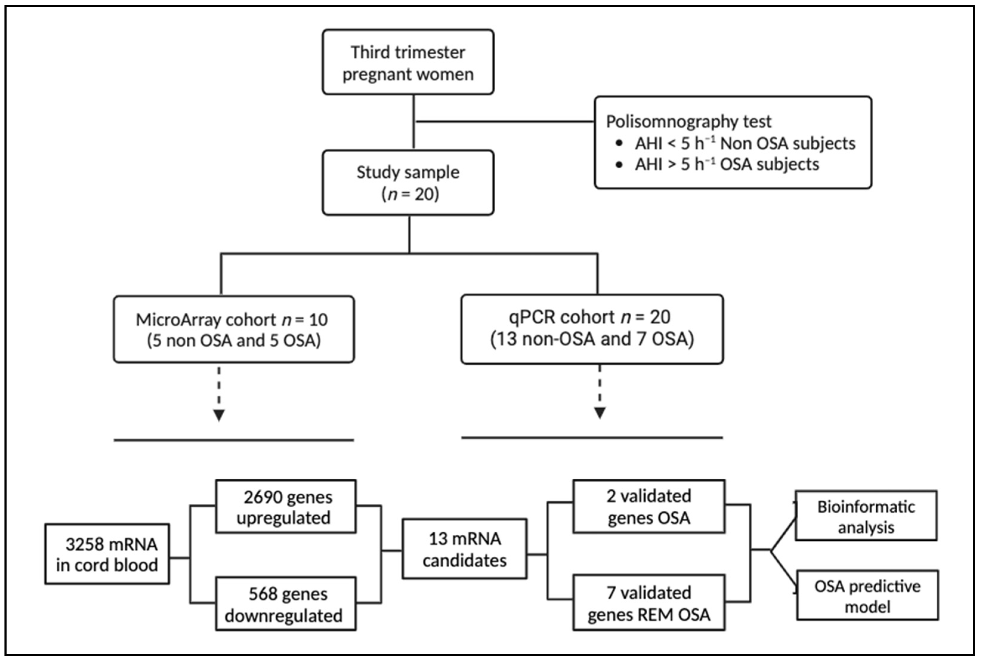 Ijms 25 05537 g001 Ijms 25 05537 g001