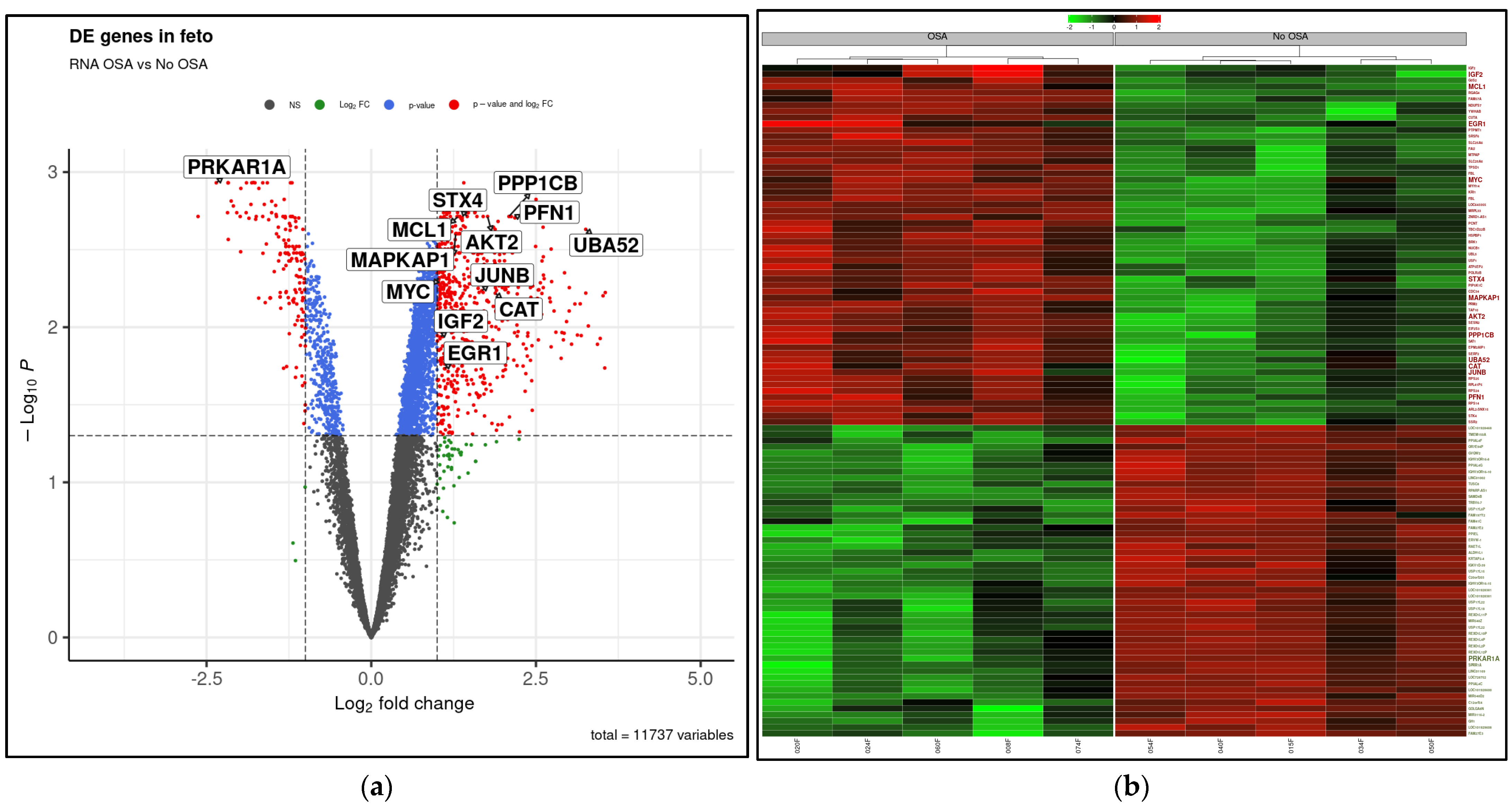 Ijms 25 05537 g002 Ijms 25 05537 g002