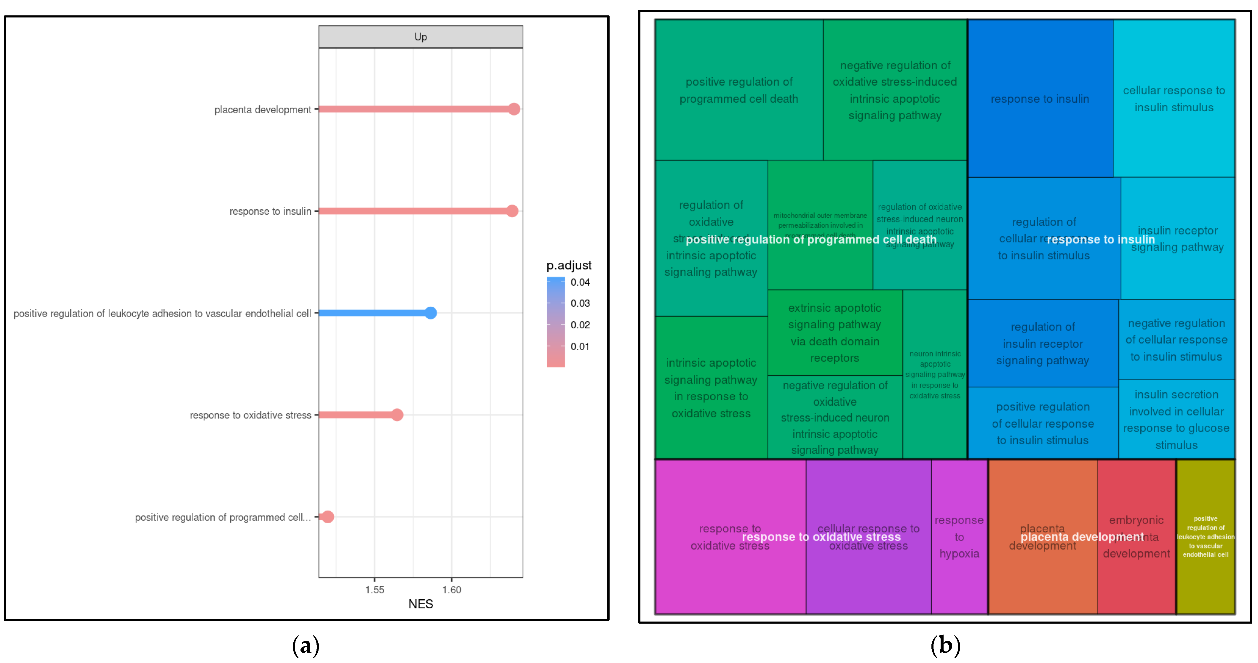 Ijms 25 05537 g003 Ijms 25 05537 g003