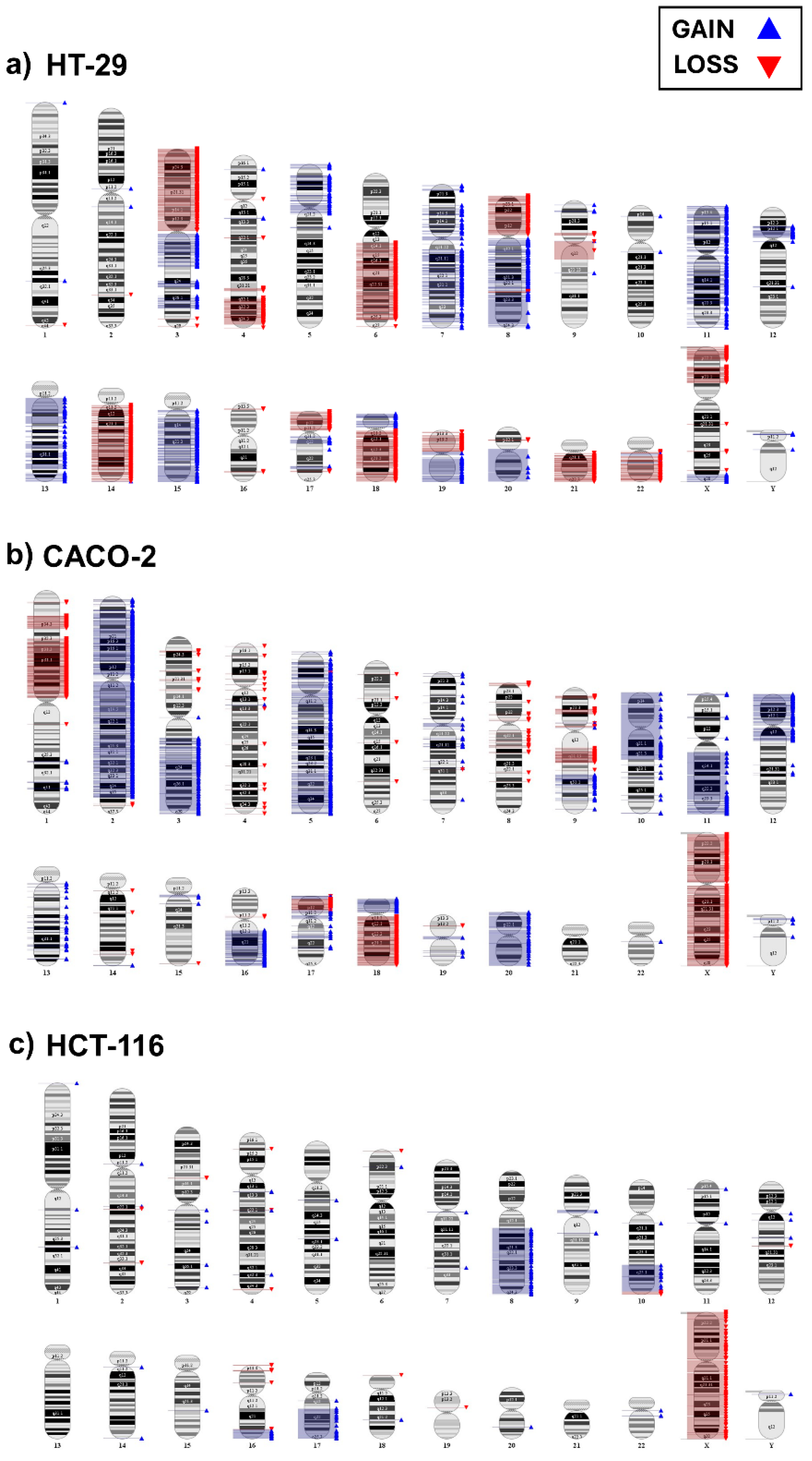 Ijms 25 05538 g001 Ijms 25 05538 g001