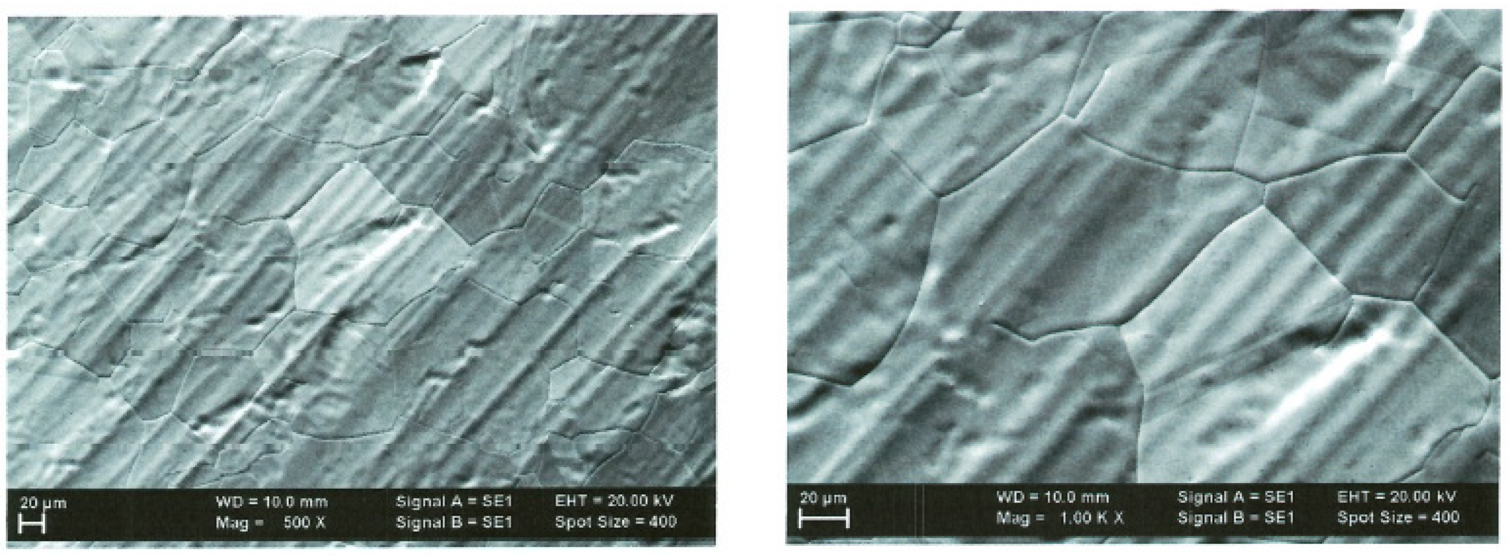 Ijms 25 05552 g002 Ijms 25 05552 g002