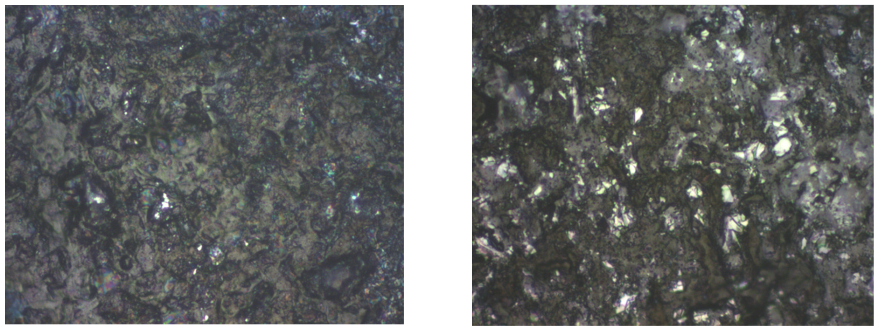 Ijms 25 05552 g003 Ijms 25 05552 g003