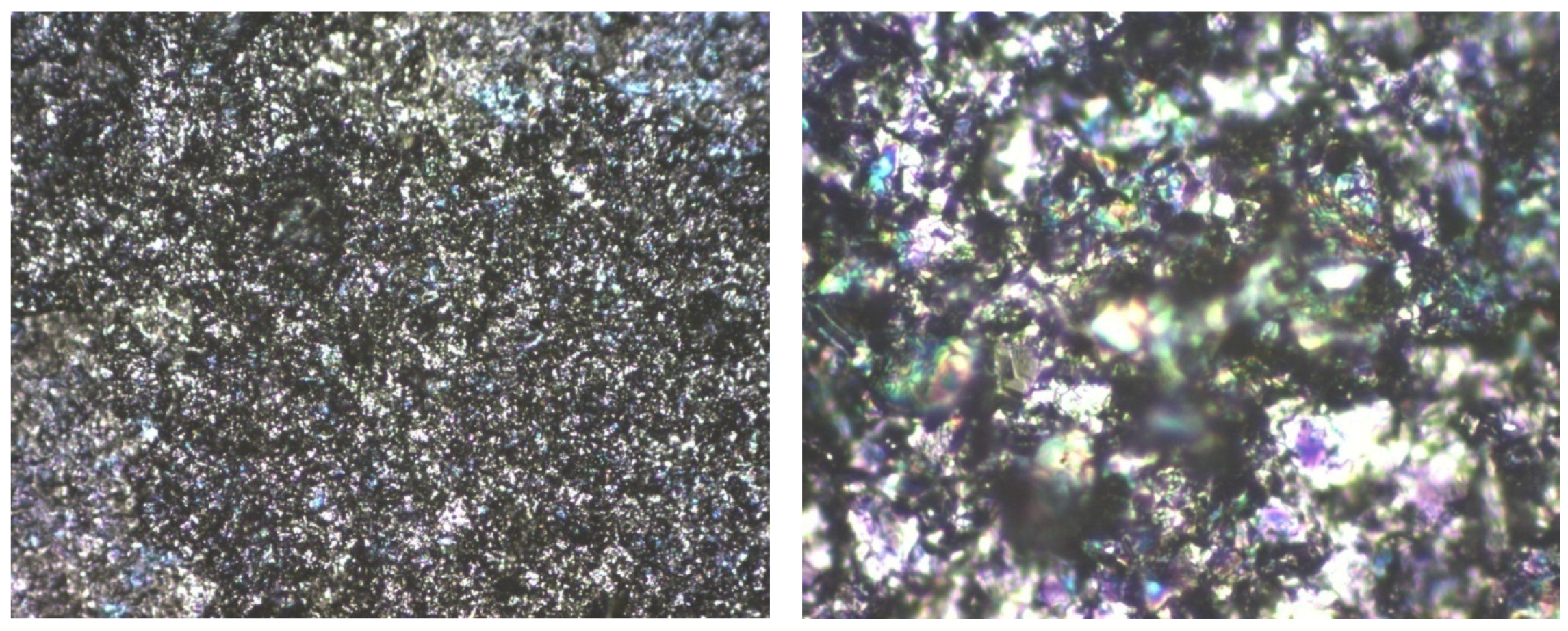 Ijms 25 05552 g008 Ijms 25 05552 g008