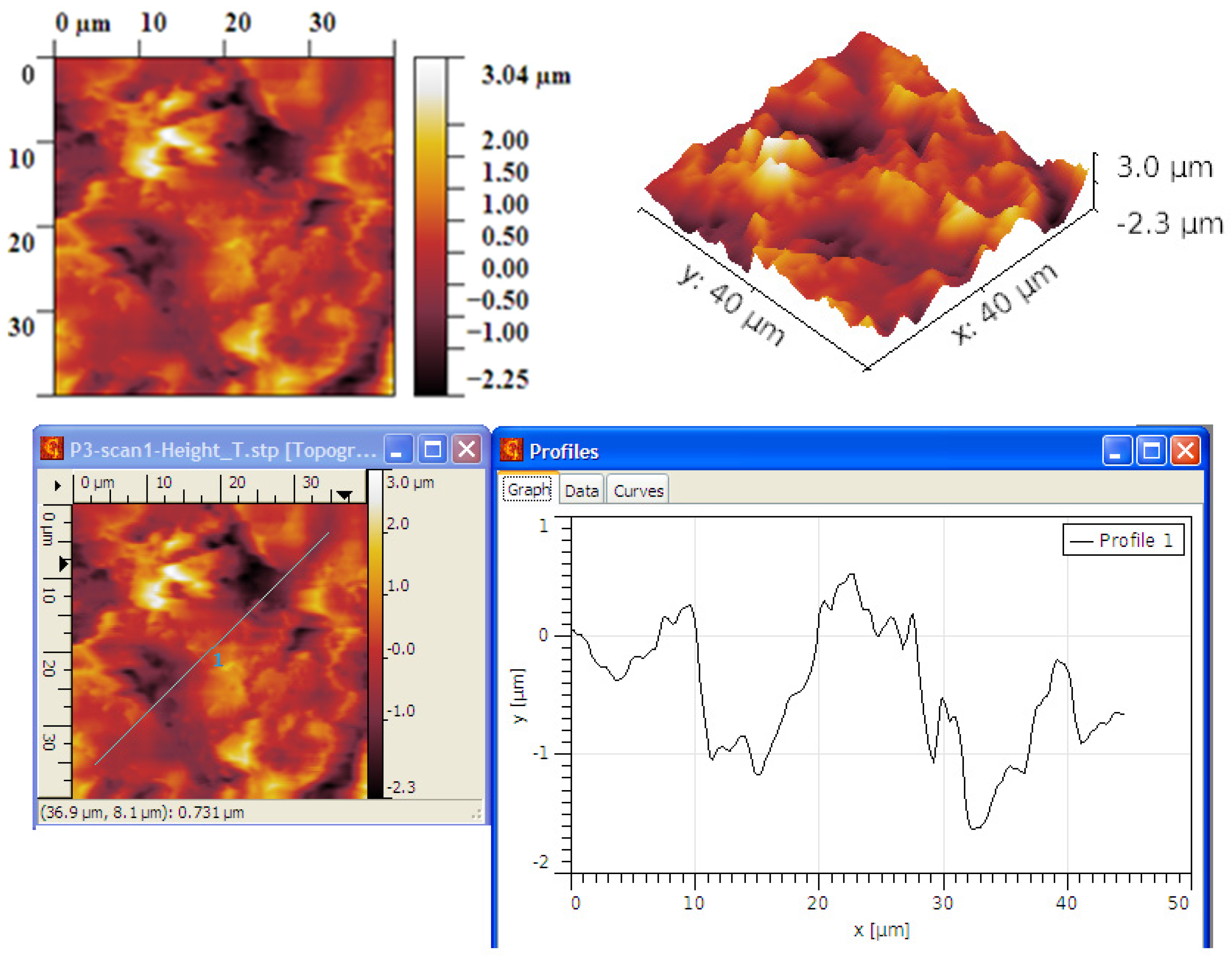Ijms 25 05552 g009 Ijms 25 05552 g009