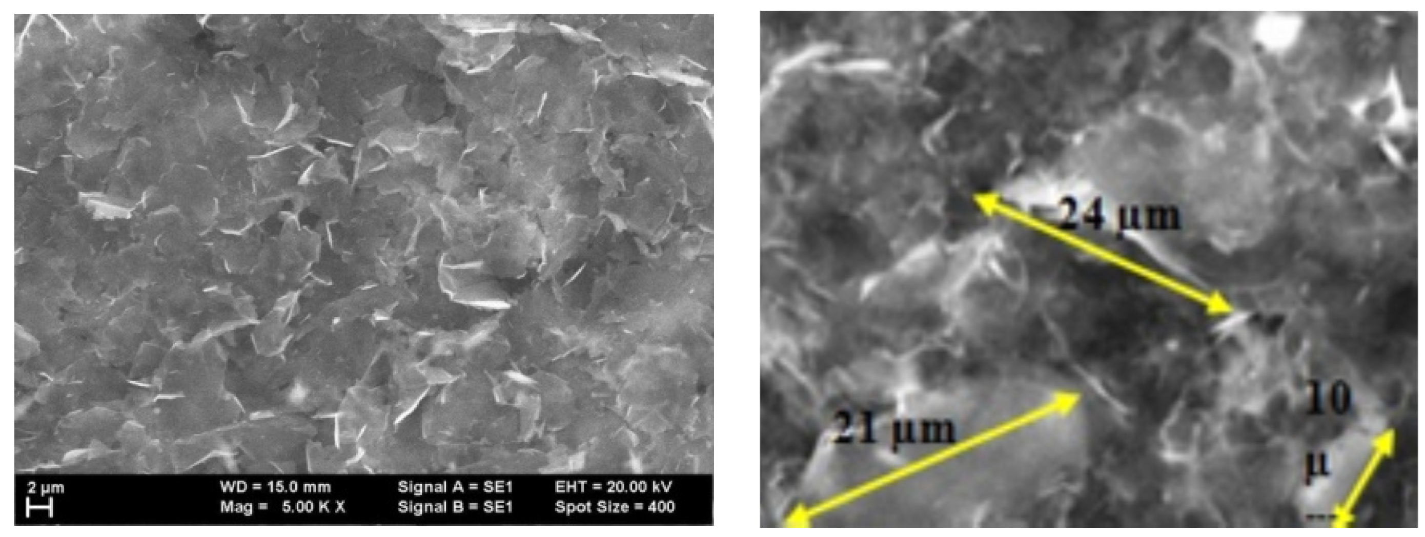 Ijms 25 05552 g011 Ijms 25 05552 g011