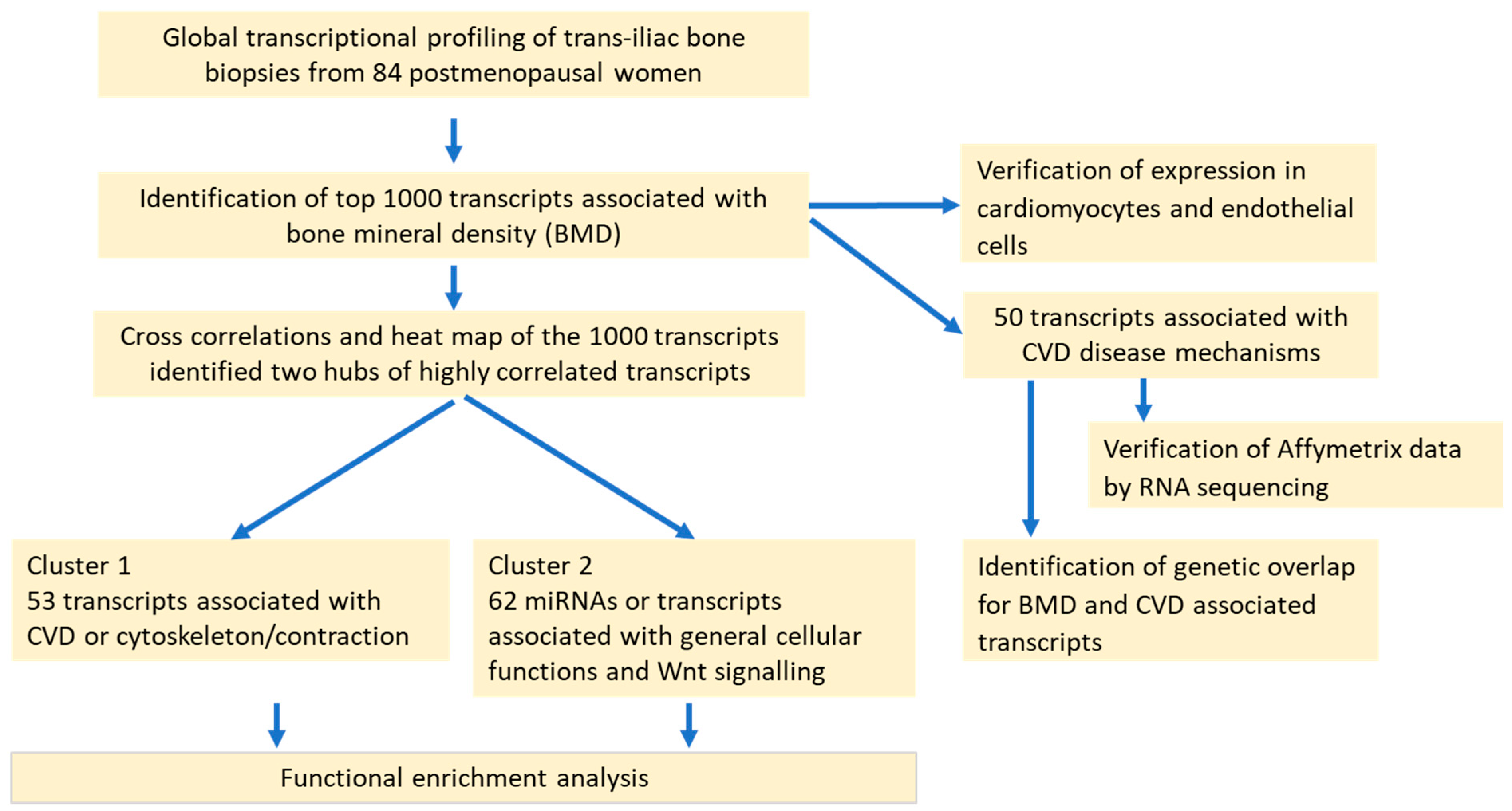Ijms 25 05554 g001 Ijms 25 05554 g001