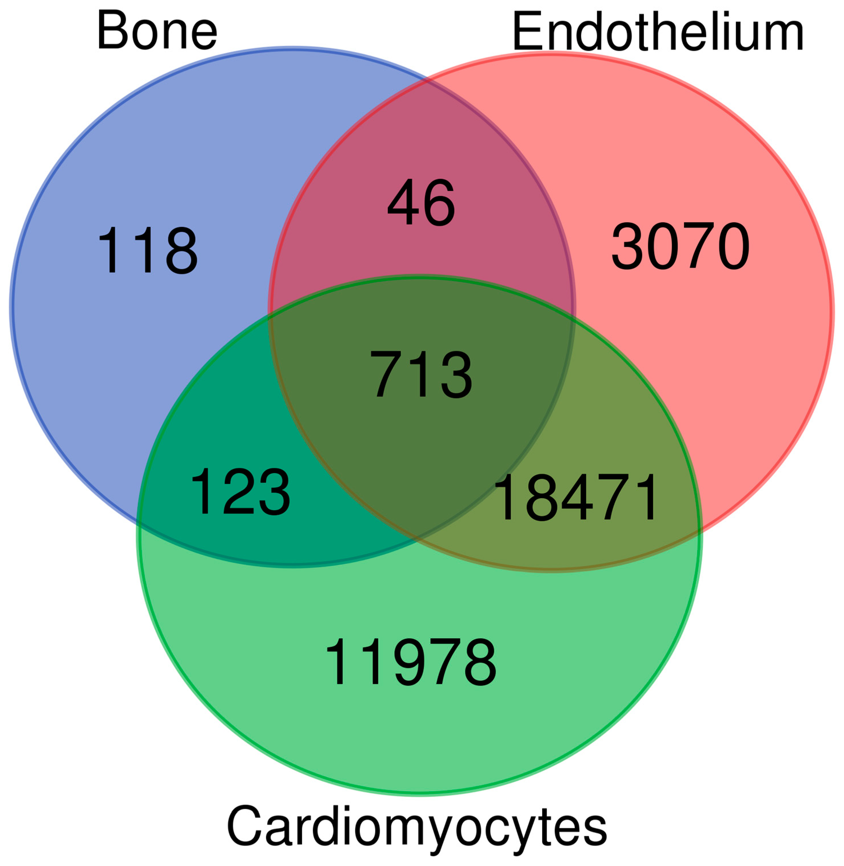 Ijms 25 05554 g002 Ijms 25 05554 g002