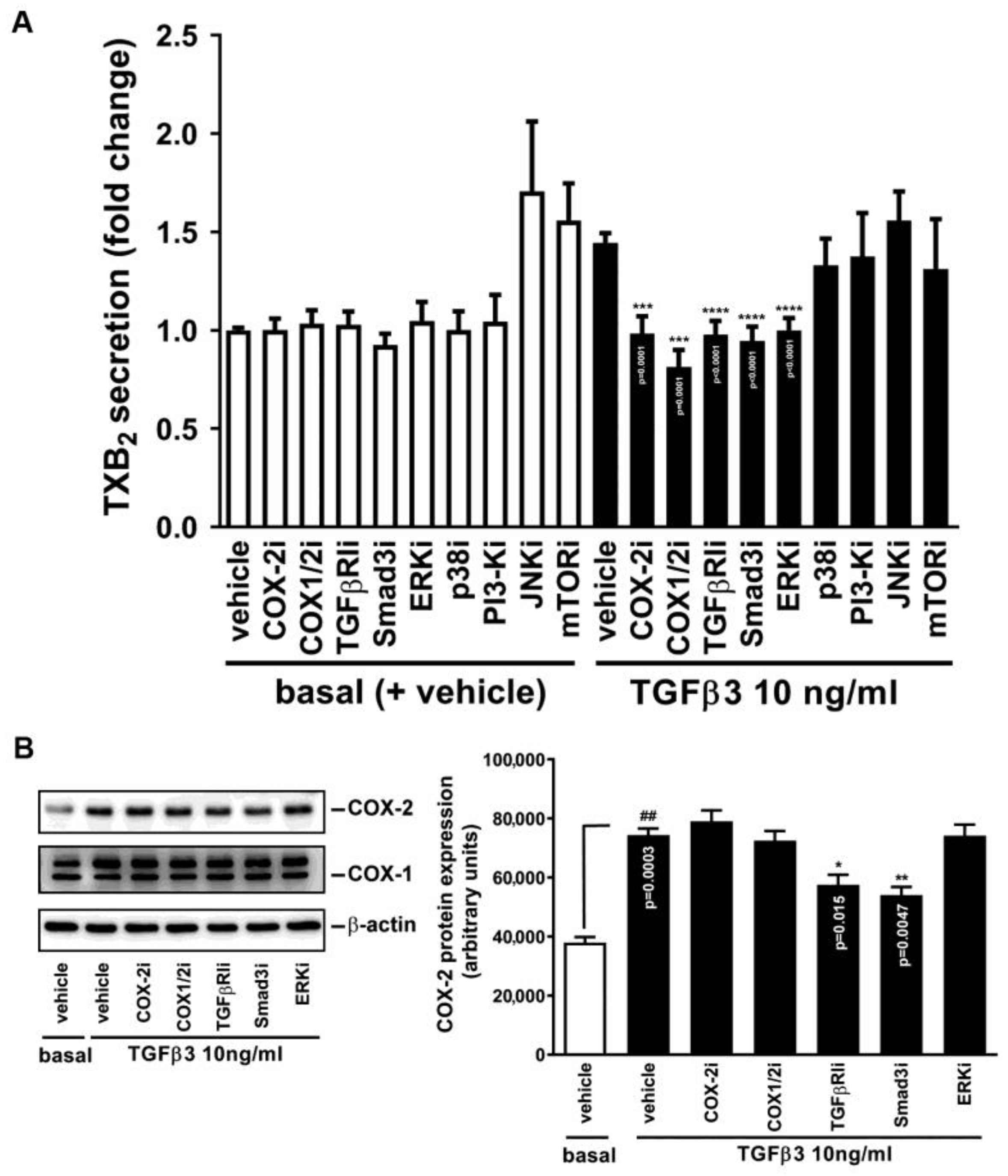 Ijms 25 05558 g004 Ijms 25 05558 g004