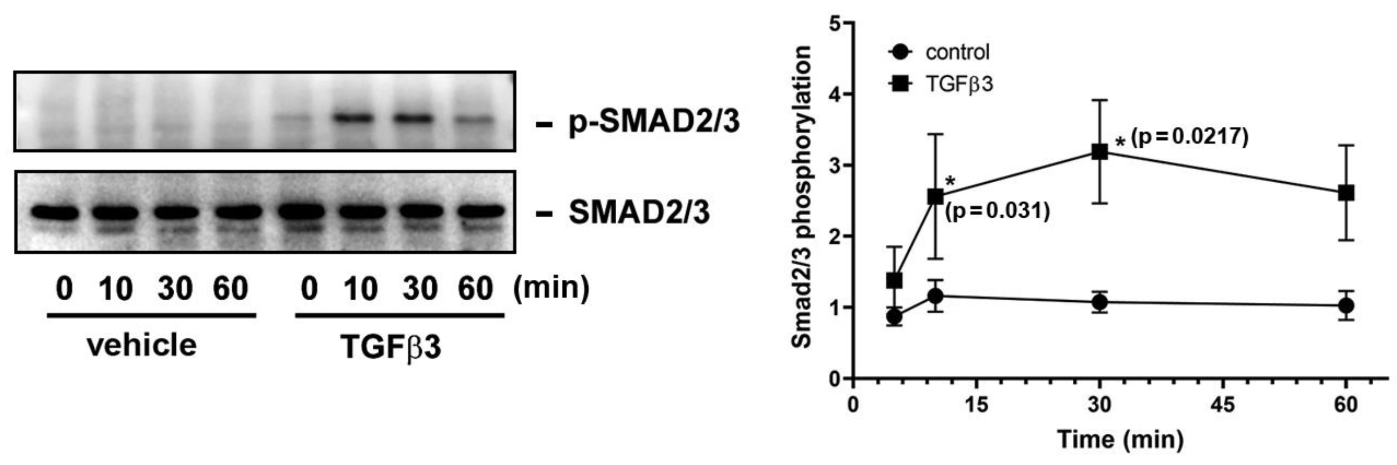 Ijms 25 05558 g005 Ijms 25 05558 g005