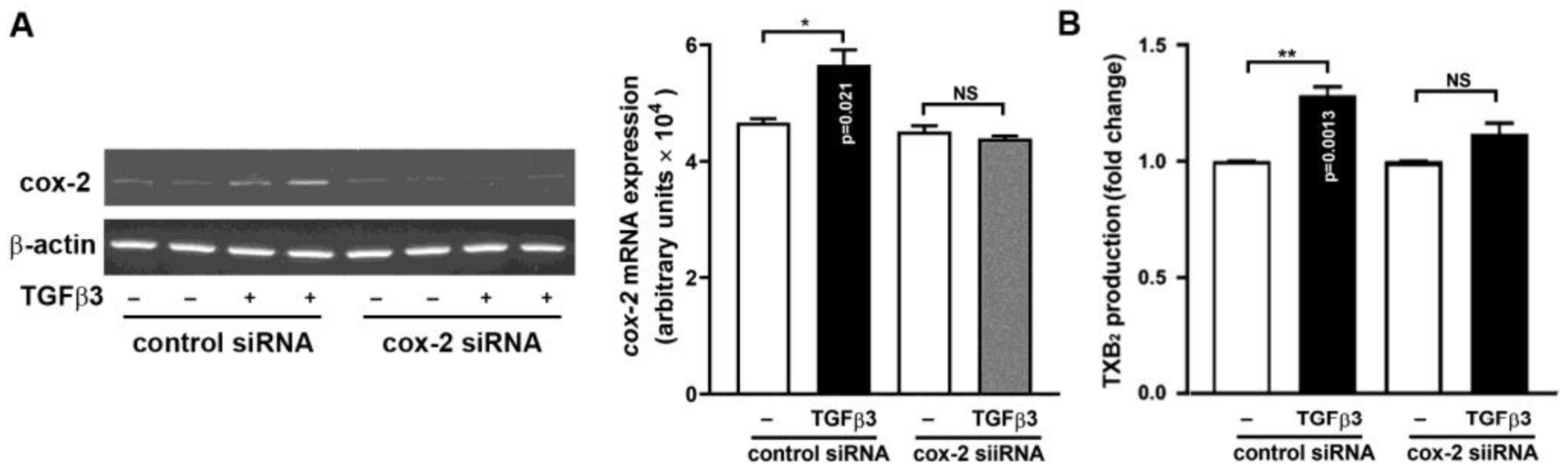 Ijms 25 05558 g007 Ijms 25 05558 g007