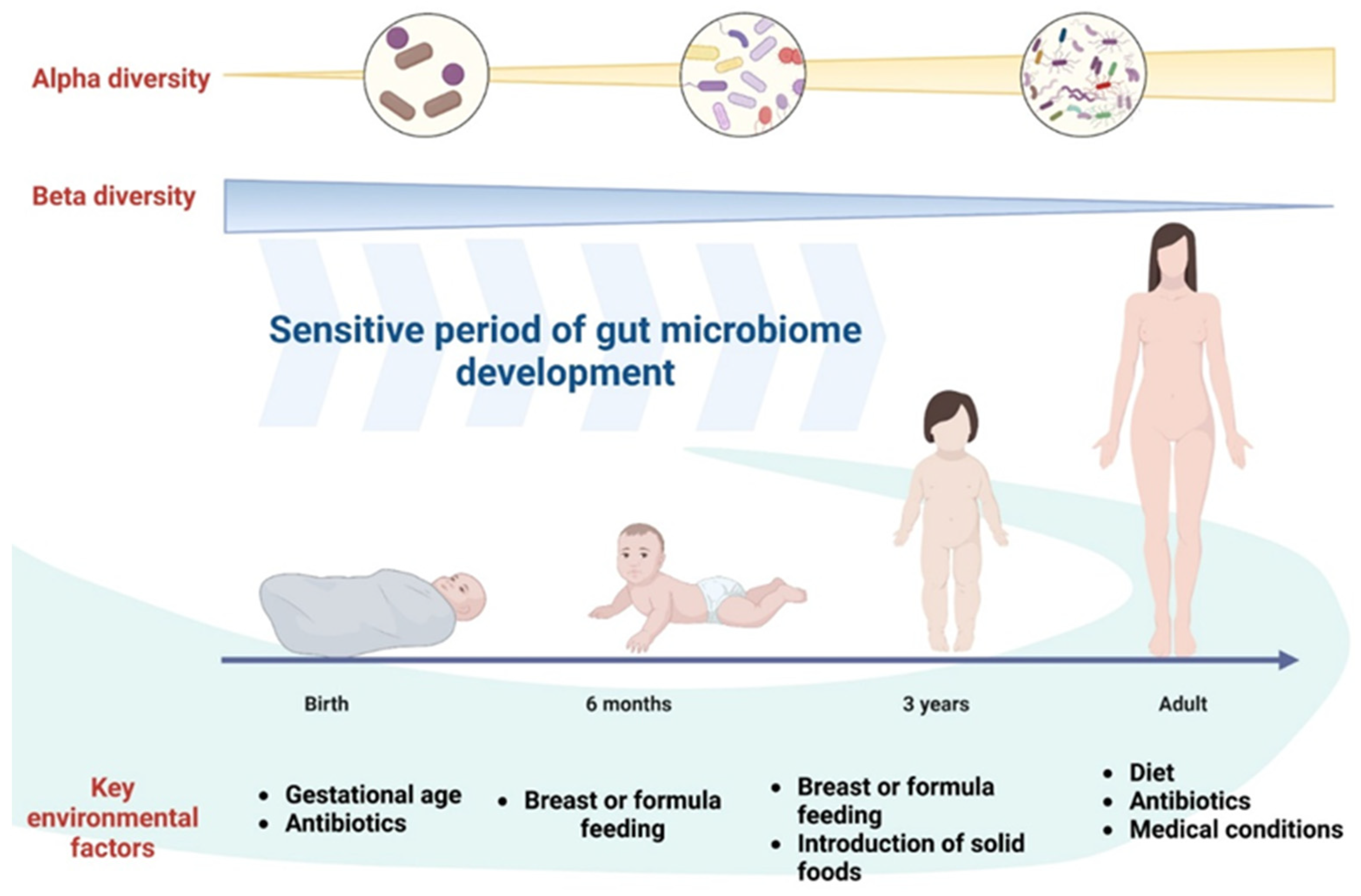 Ijms 25 05561 g004 Ijms 25 05561 g004