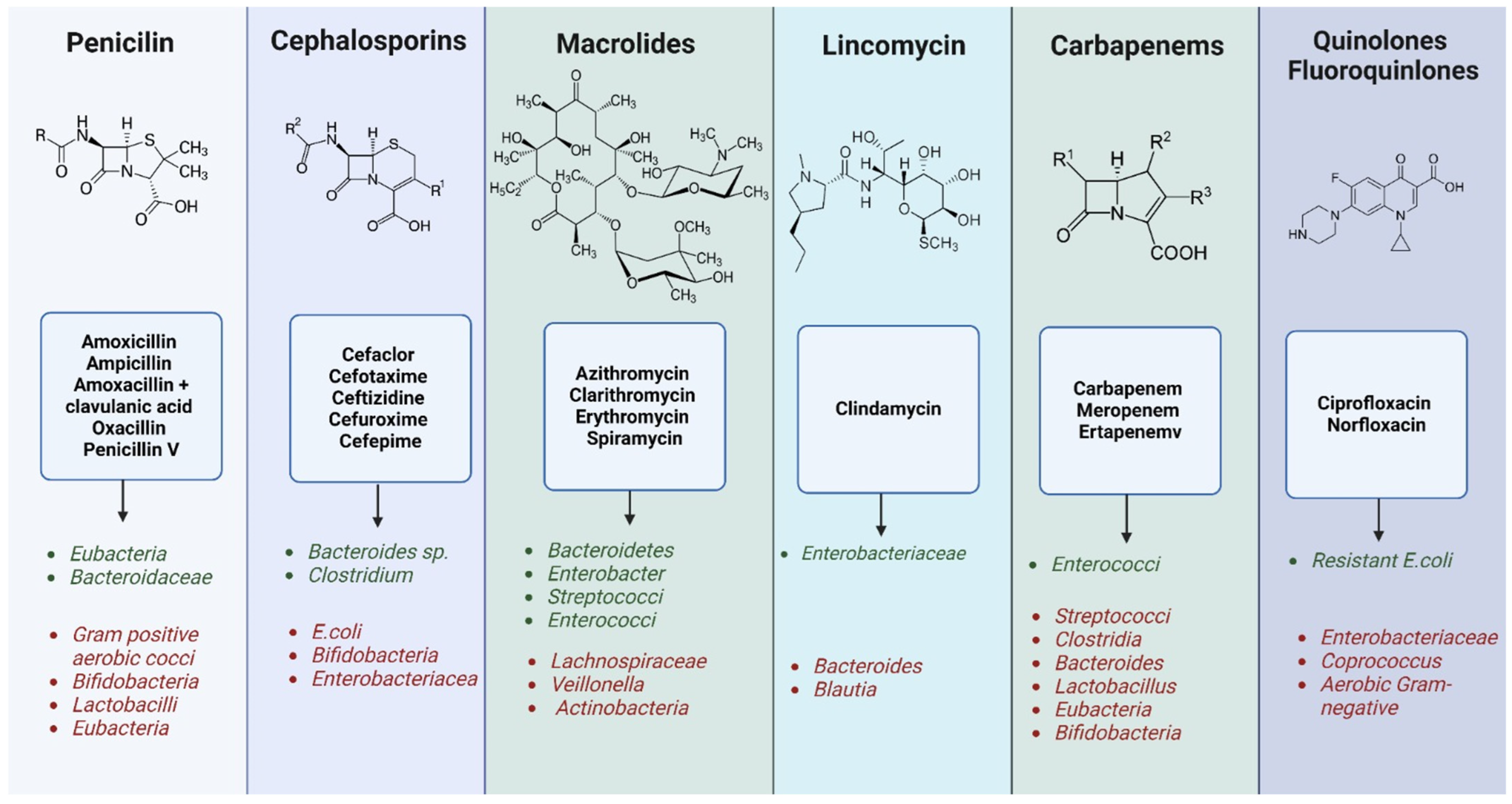 Ijms 25 05561 g005 Ijms 25 05561 g005