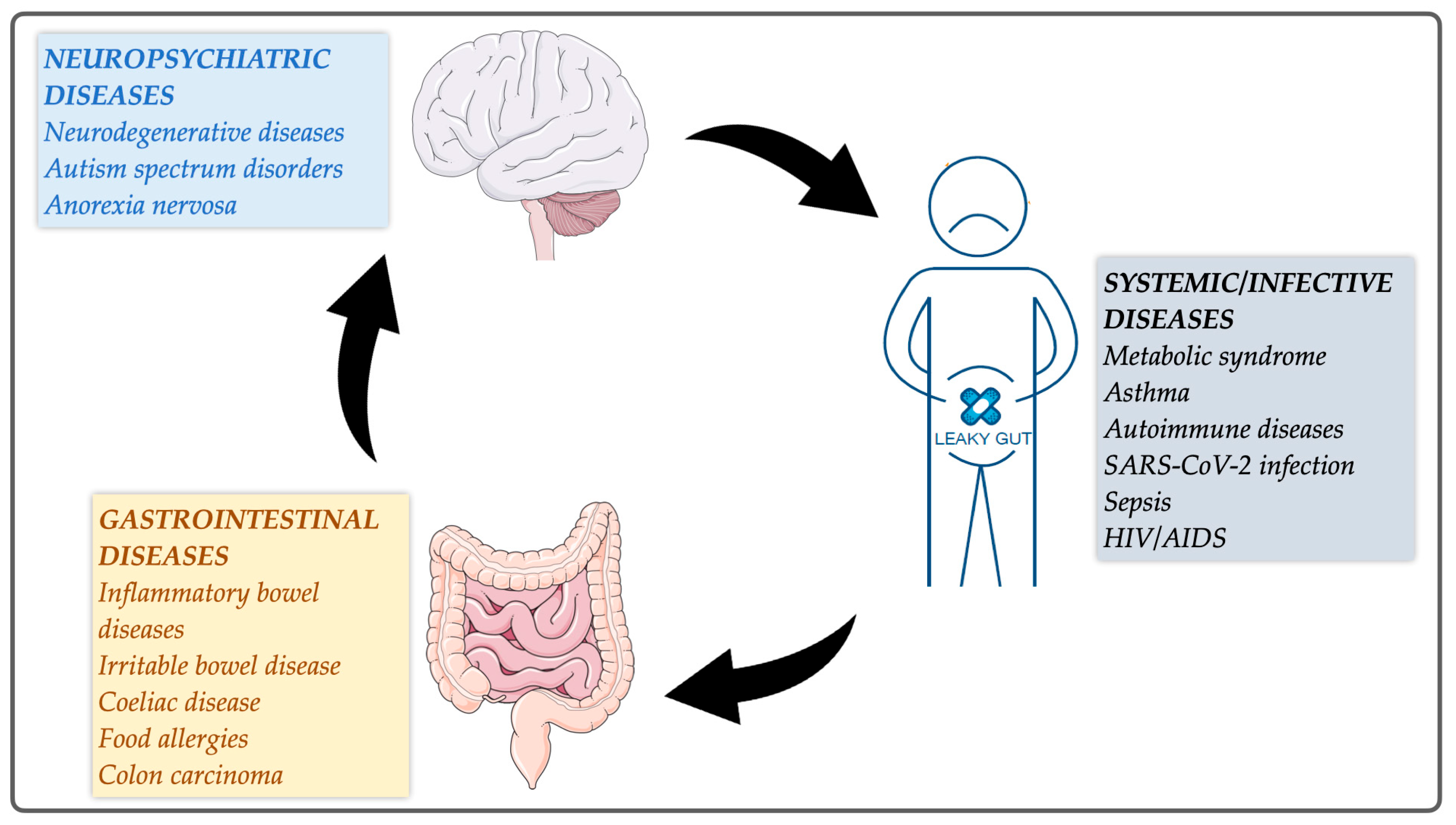 Ijms 25 05566 g001 Ijms 25 05566 g001
