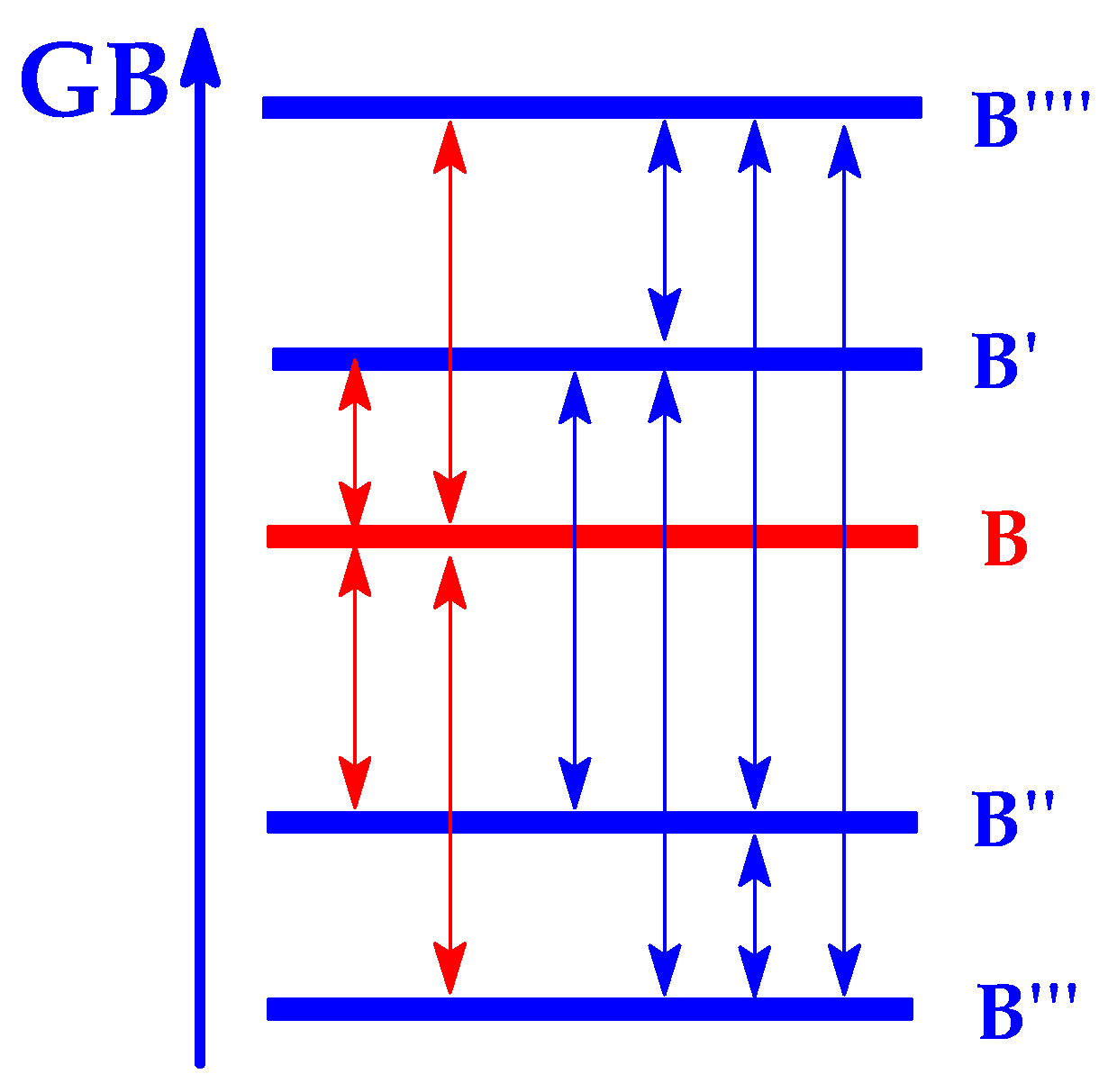 Ijms 25 05591 g002 Ijms 25 05591 g002