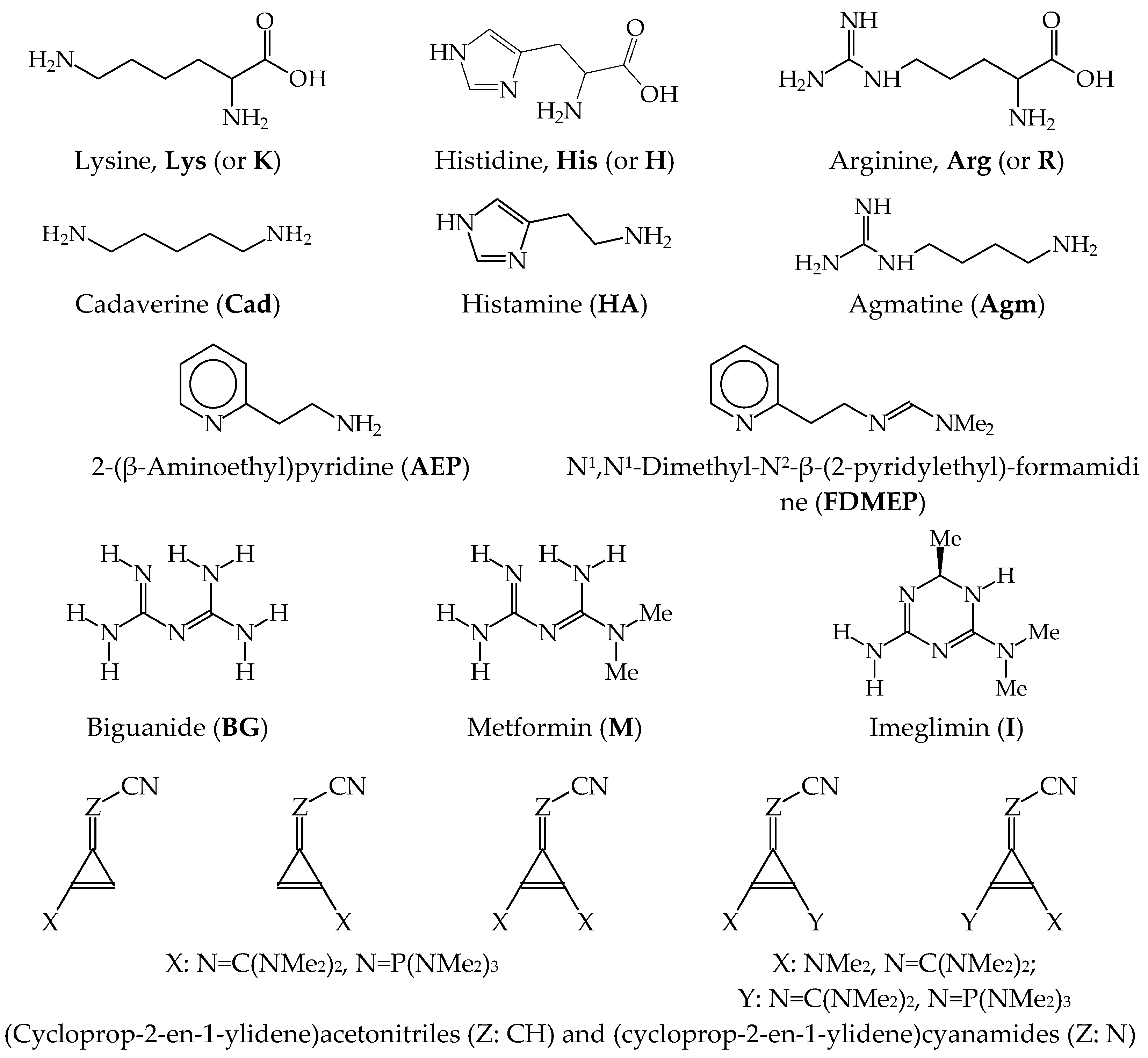 Ijms 25 05591 g003 Ijms 25 05591 g003