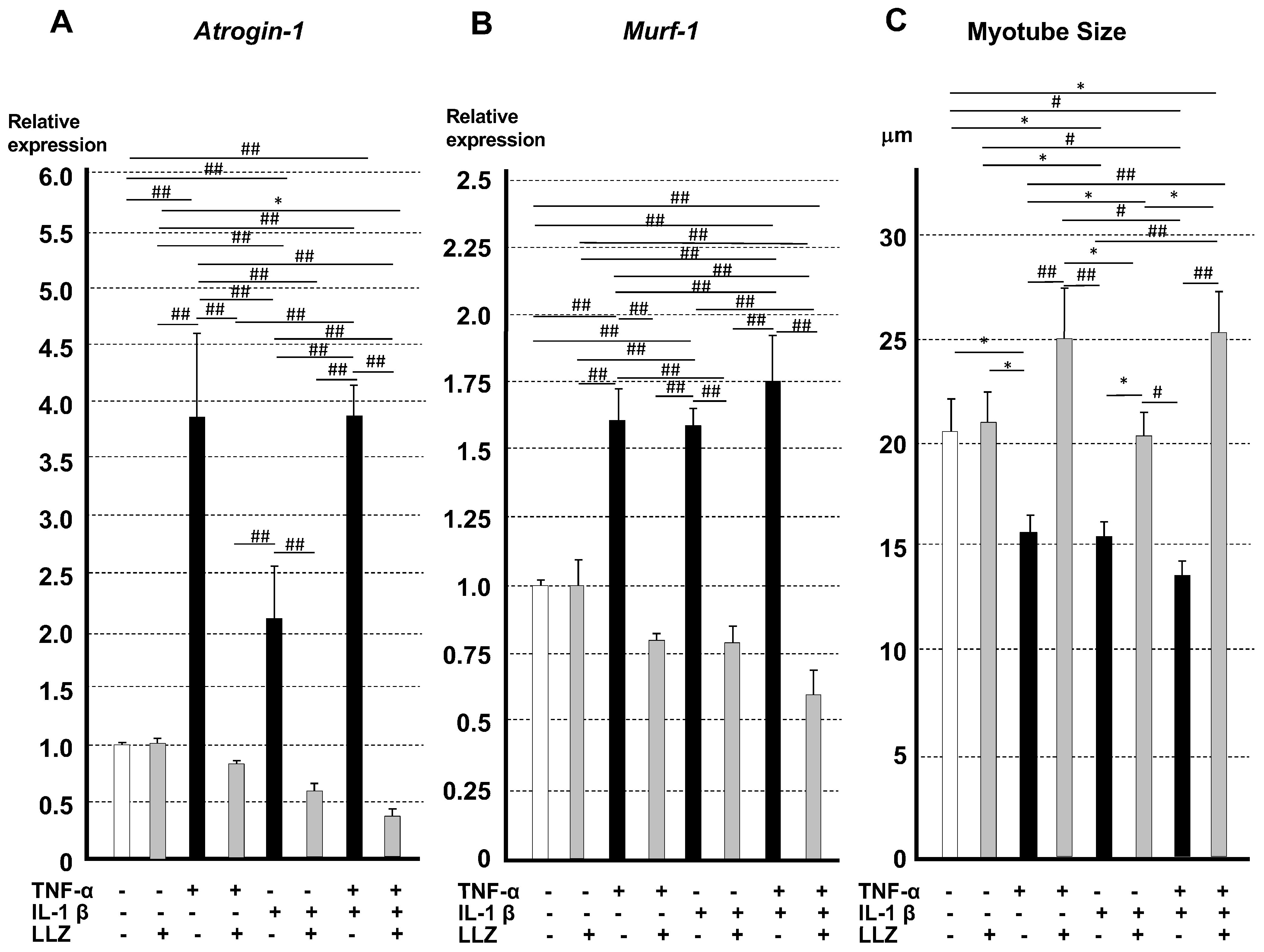 Ijms 25 05715 g008 Ijms 25 05715 g008