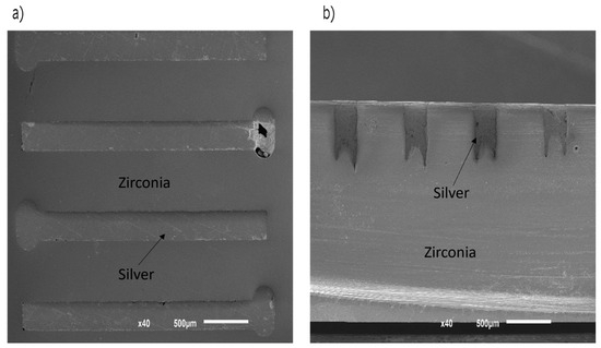 Zirconia Dental Implants Surface Electric Stimulation Impact on ...