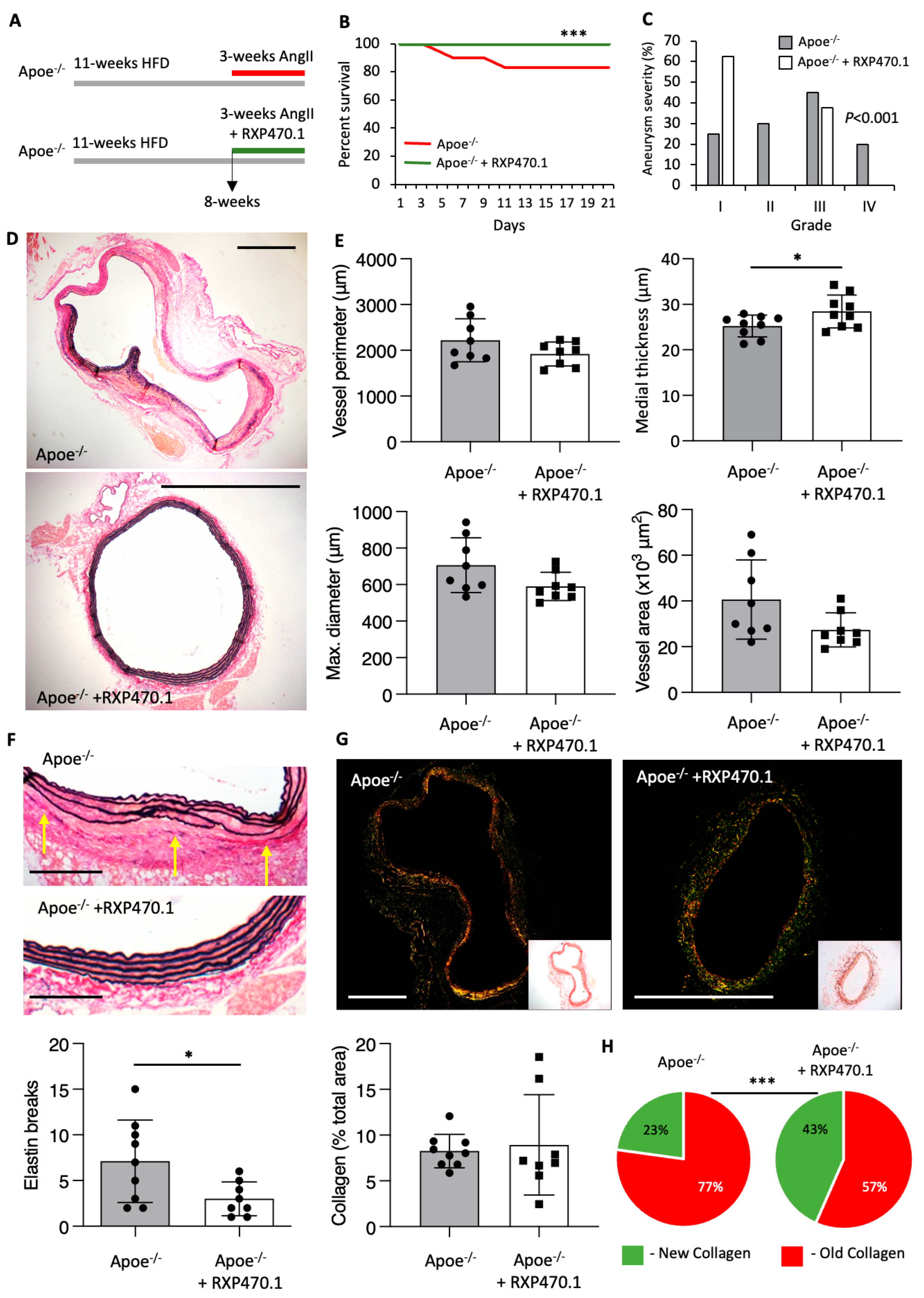 Ijms 25 05809 g002 Ijms 25 05809 g002