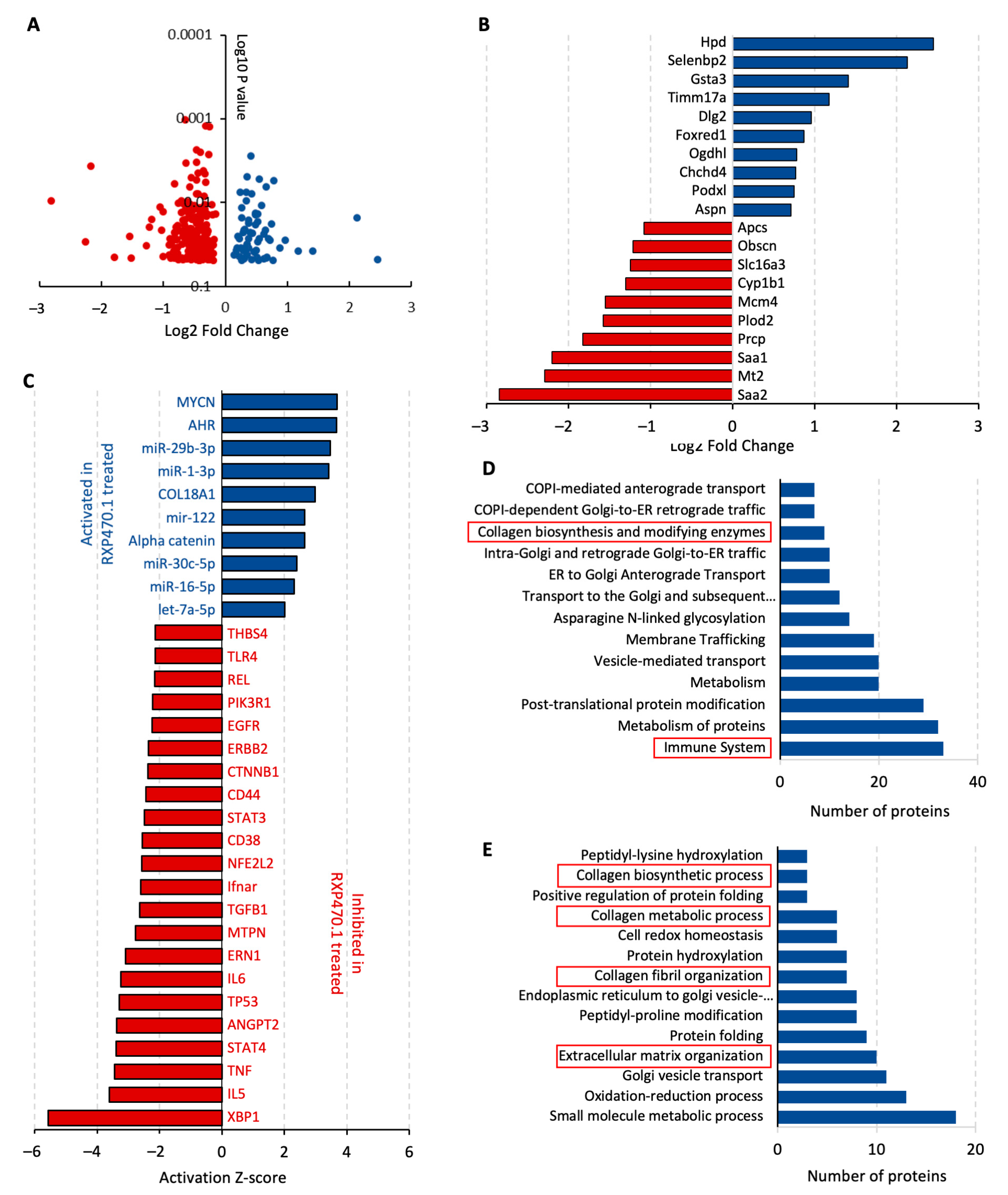 Ijms 25 05809 g003 Ijms 25 05809 g003