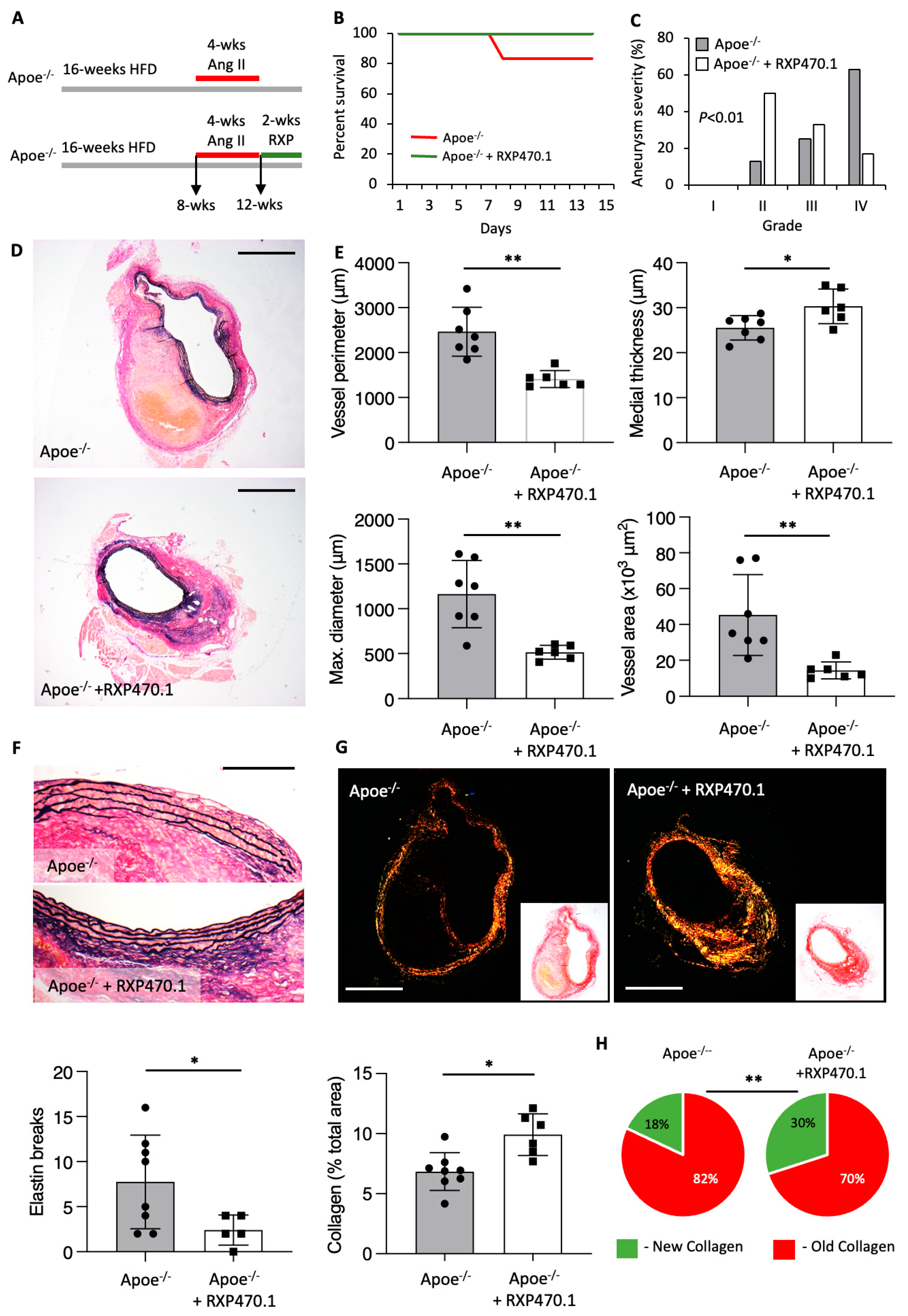 Ijms 25 05809 g004 Ijms 25 05809 g004