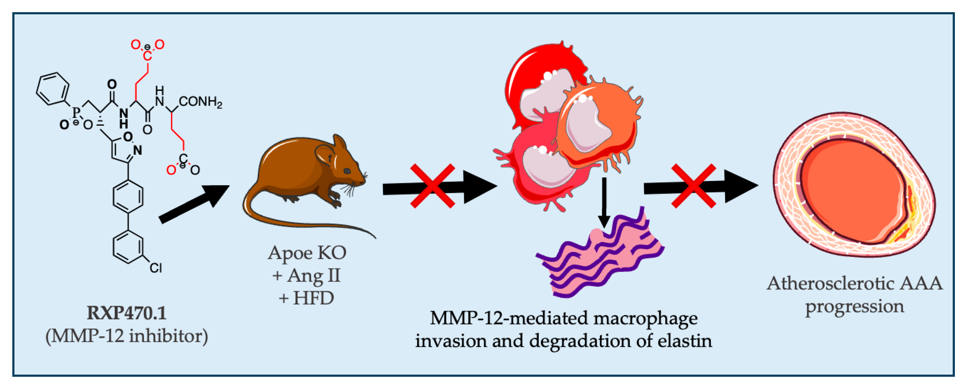Ijms 25 05809 g005 Ijms 25 05809 g005
