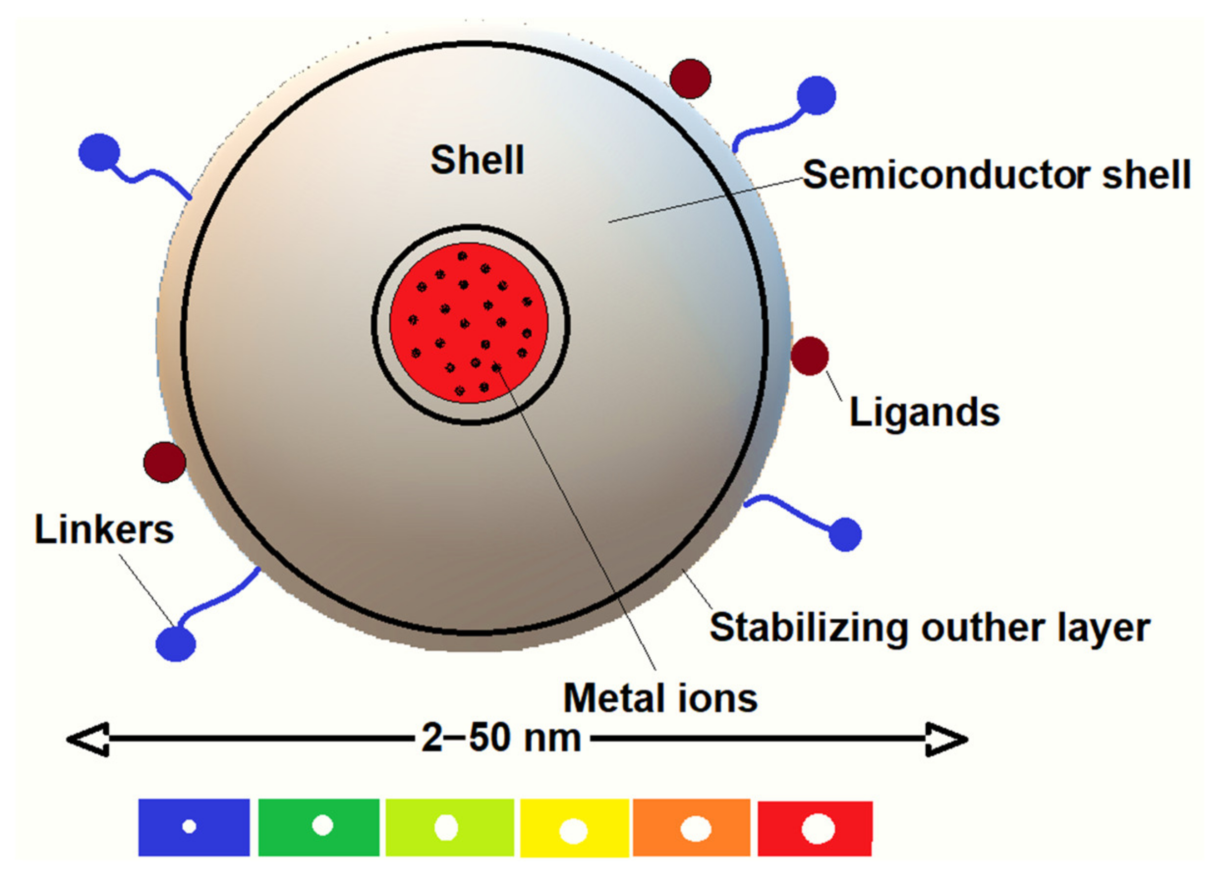 Ijms 25 05842 g005 Ijms 25 05842 g005