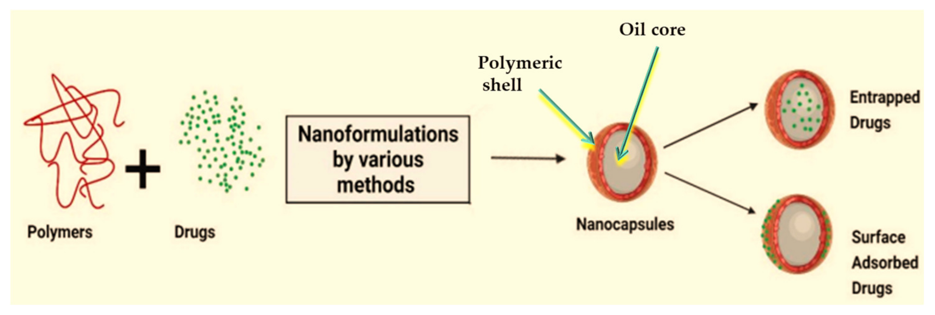 Ijms 25 05842 g007 Ijms 25 05842 g007