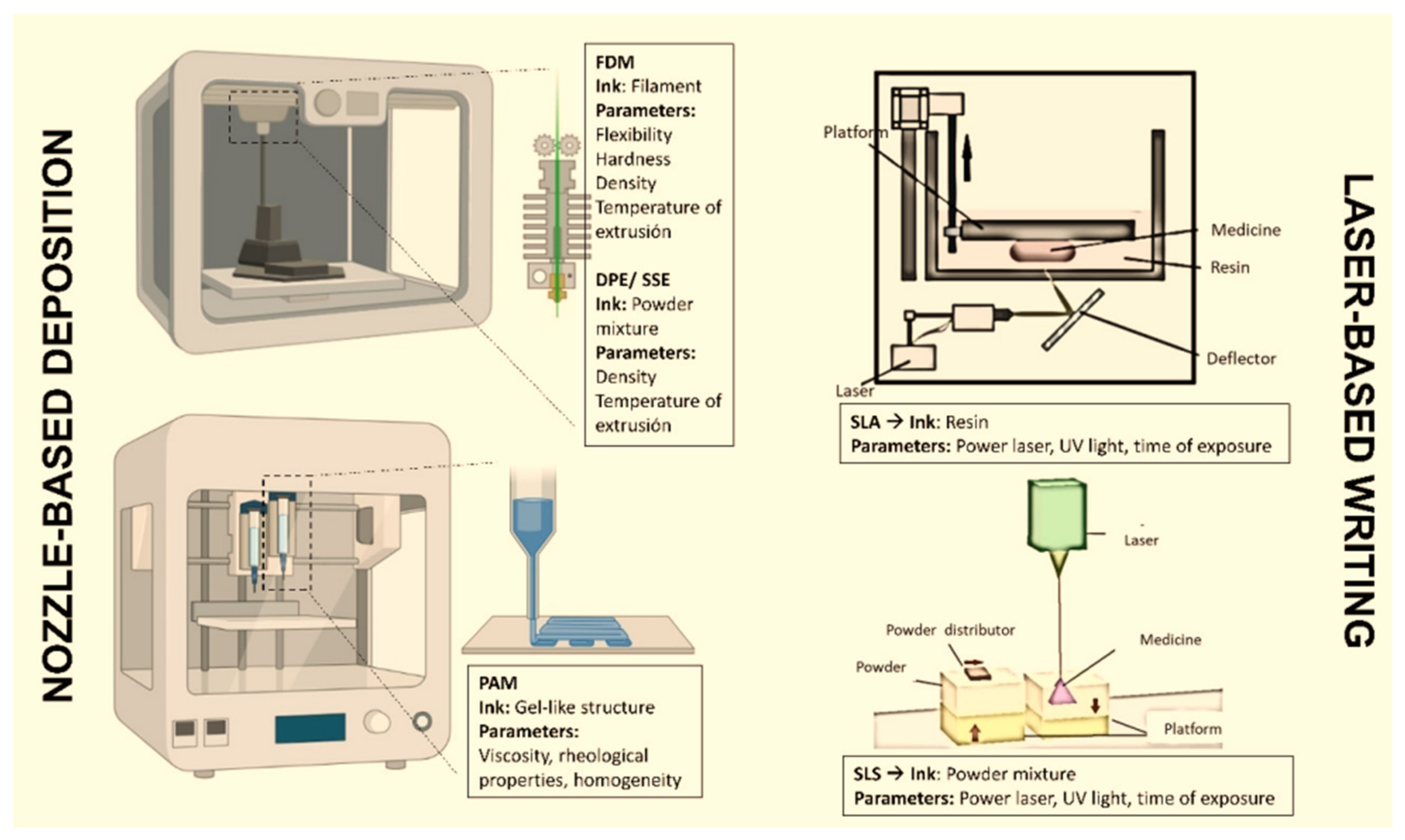 Ijms 25 05842 g009 Ijms 25 05842 g009