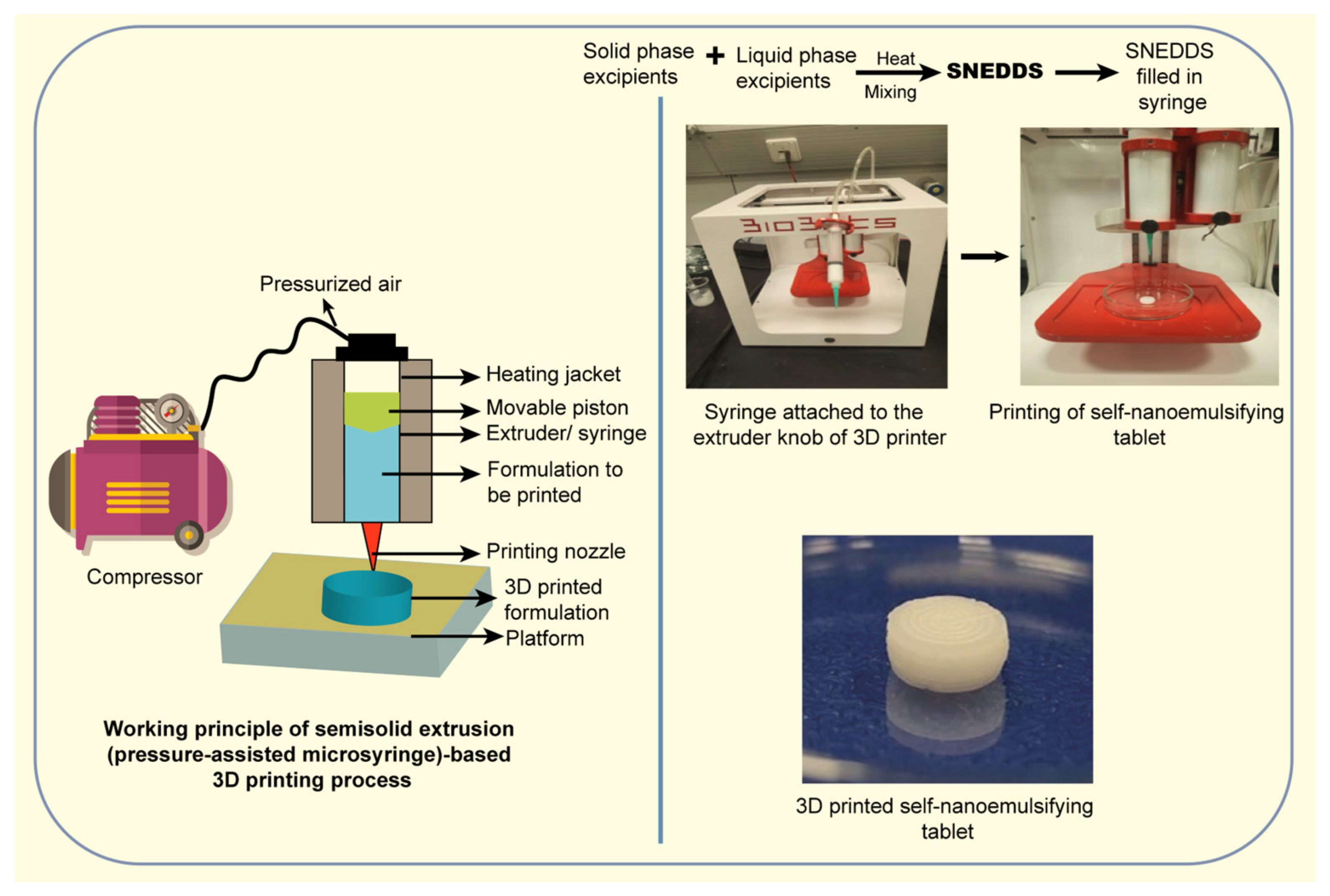 Ijms 25 05842 g010 Ijms 25 05842 g010
