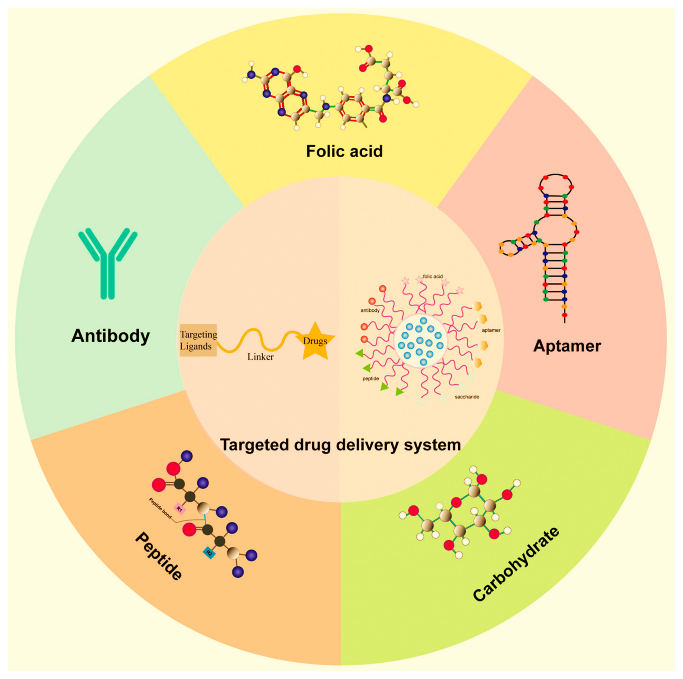 Ijms 25 05842 g011 Ijms 25 05842 g011