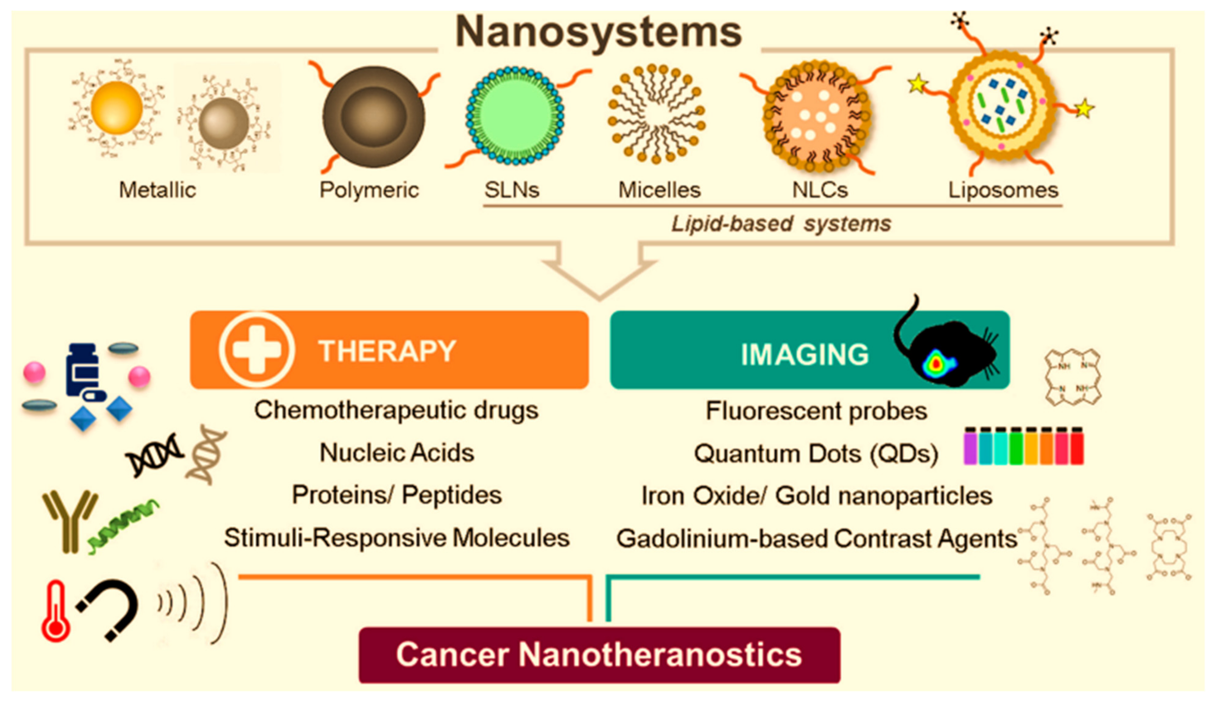 Ijms 25 05842 g016 Ijms 25 05842 g016