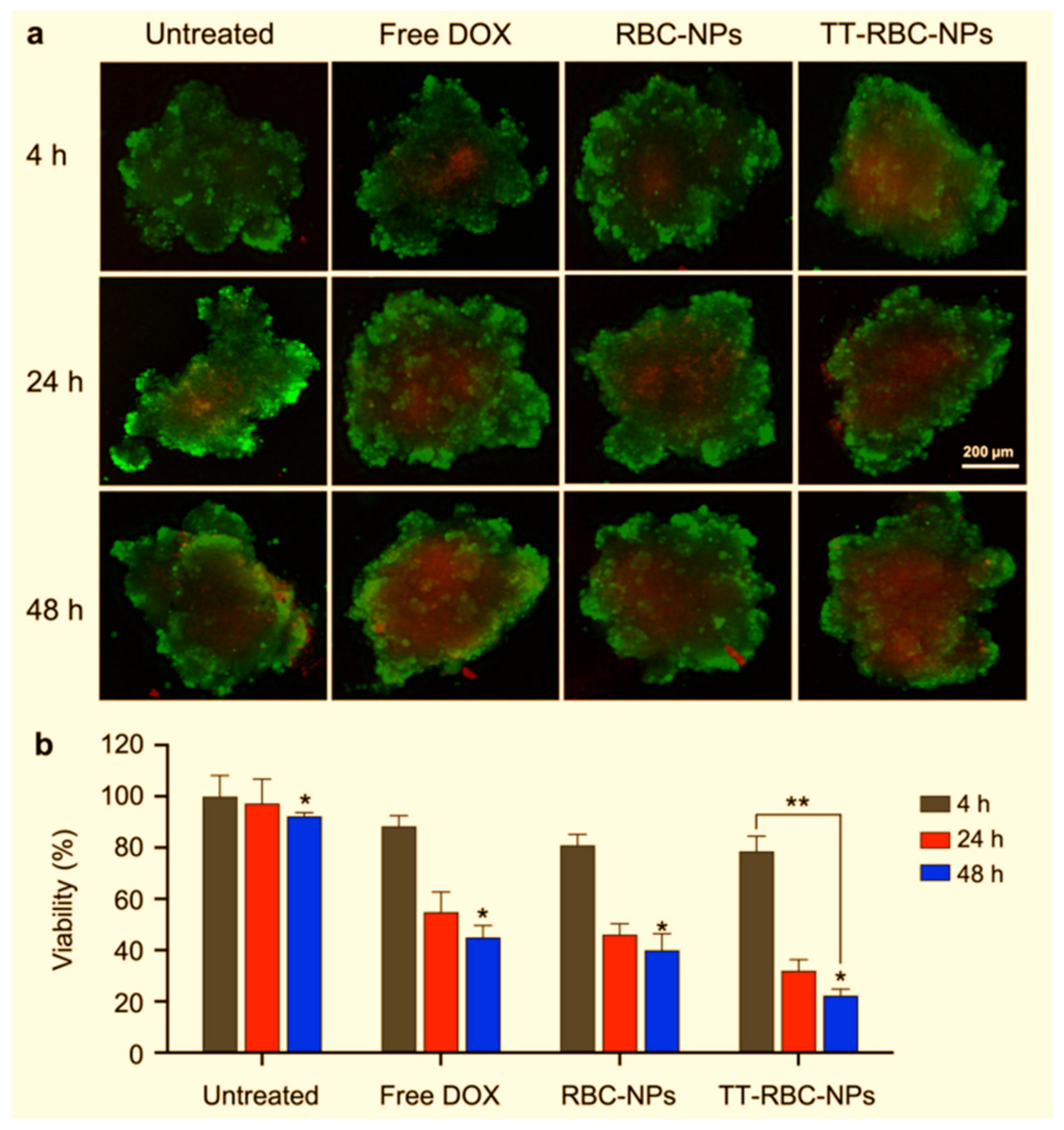 Ijms 25 05842 g017 Ijms 25 05842 g017
