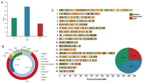 Unveiling the Influence of Copy Number Variations on Genetic Diversity ...