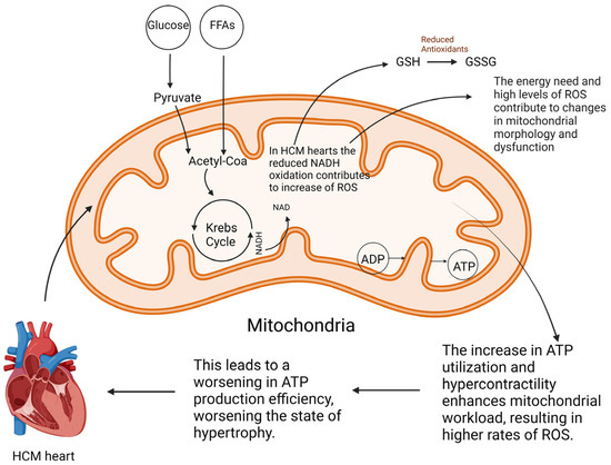 Genetic Mutations and Mitochondrial Redox Signaling as Genetic Mutations and Mitochondrial Redox Signaling as