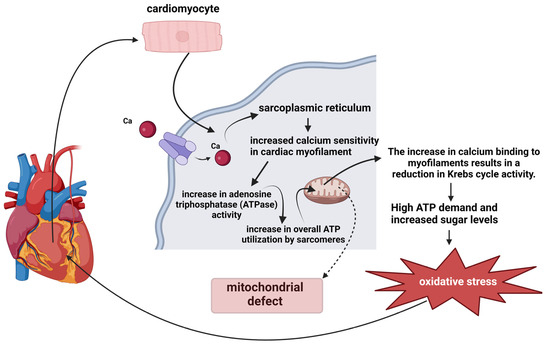 2025年新作アイテムが続々登場 and Mutations Genetic Mitochondrial as Signaling Redox 茶