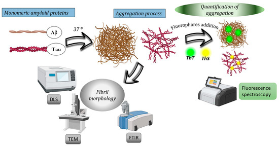 A Comprehensive Analytical Review of Polyphenols: Evaluating