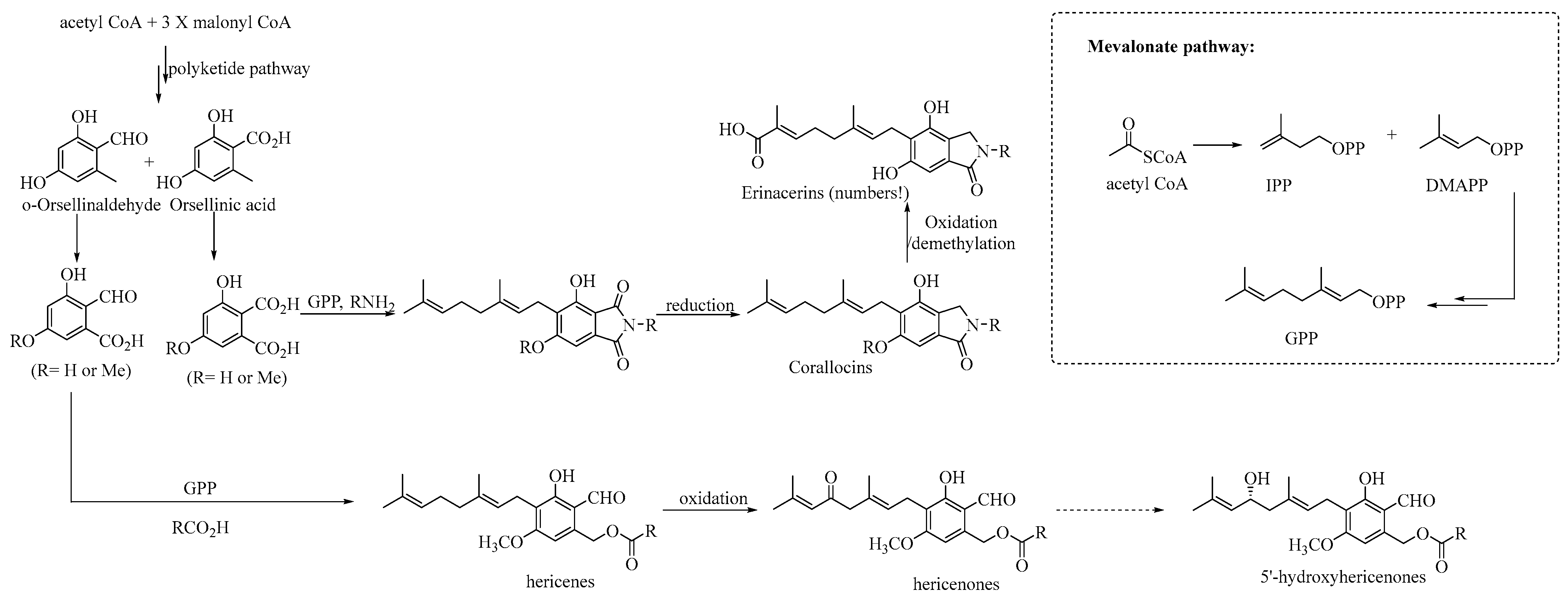Ijms 25 05949 sch001