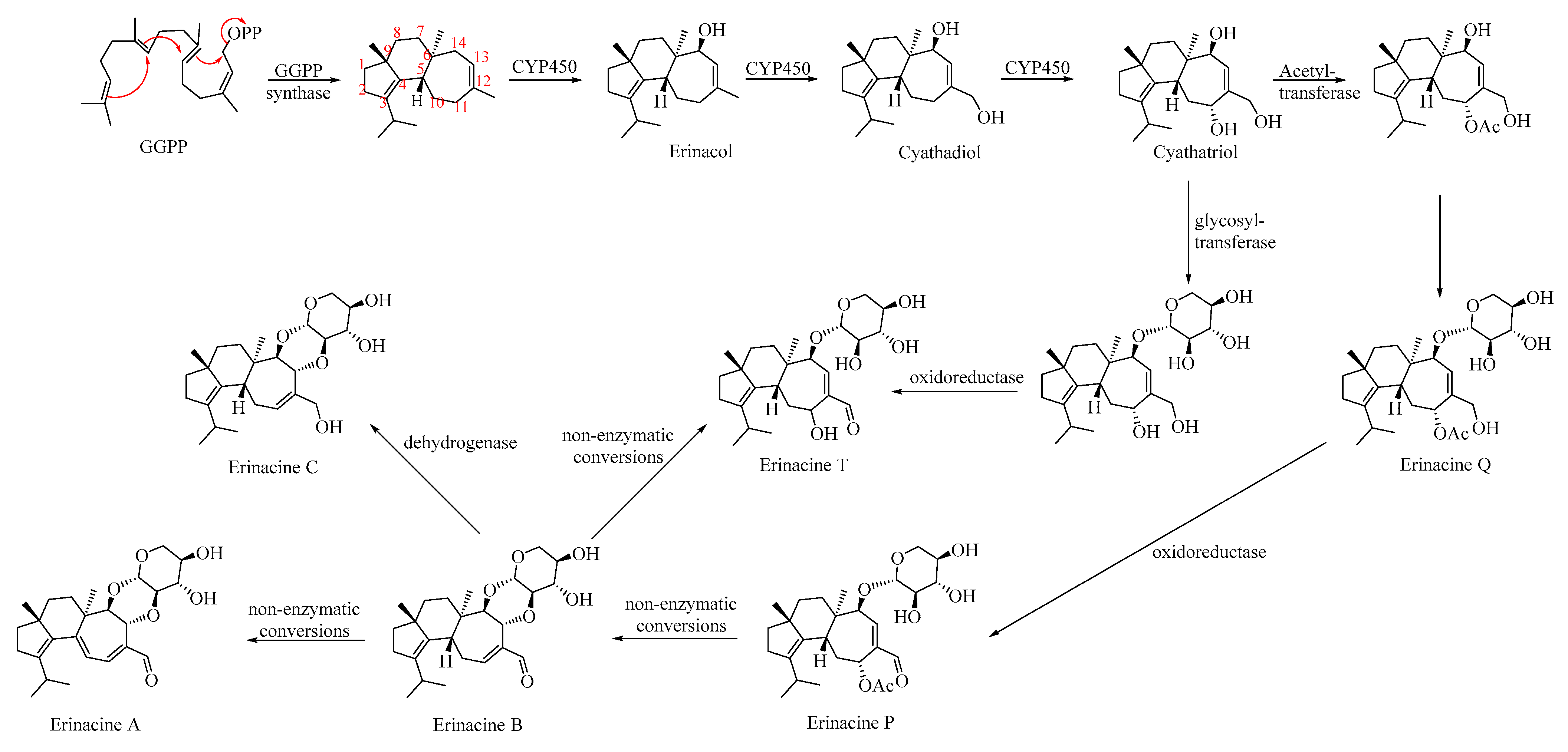 Ijms 25 05949 sch002