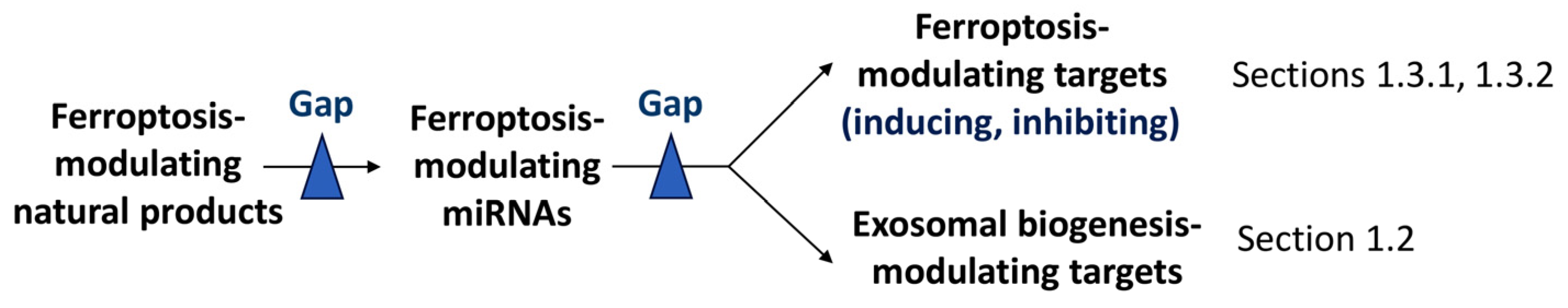 ▼  Ferroptosis-Regulated Natural Products and miRNAs and Their