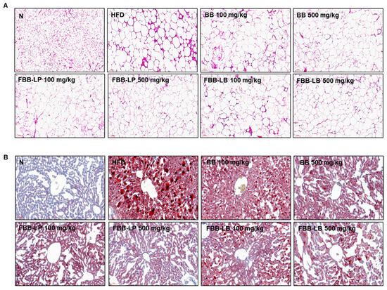 ハイパーファインブロックプラス DIET Anti-Obesity Properties of Blackberries Fermented with L