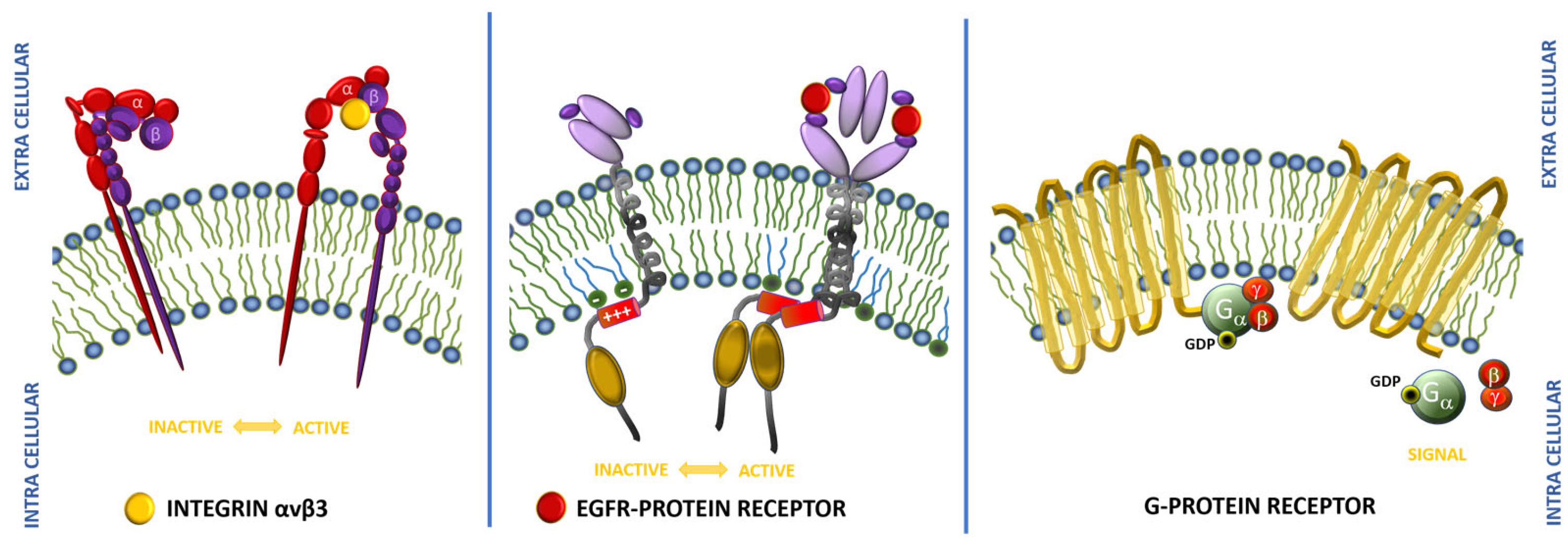 Tumor-Homing Peptides as Crucial Component of Magnetic-Based Tumor-Homing Peptides as Crucial Component of Magnetic-Based